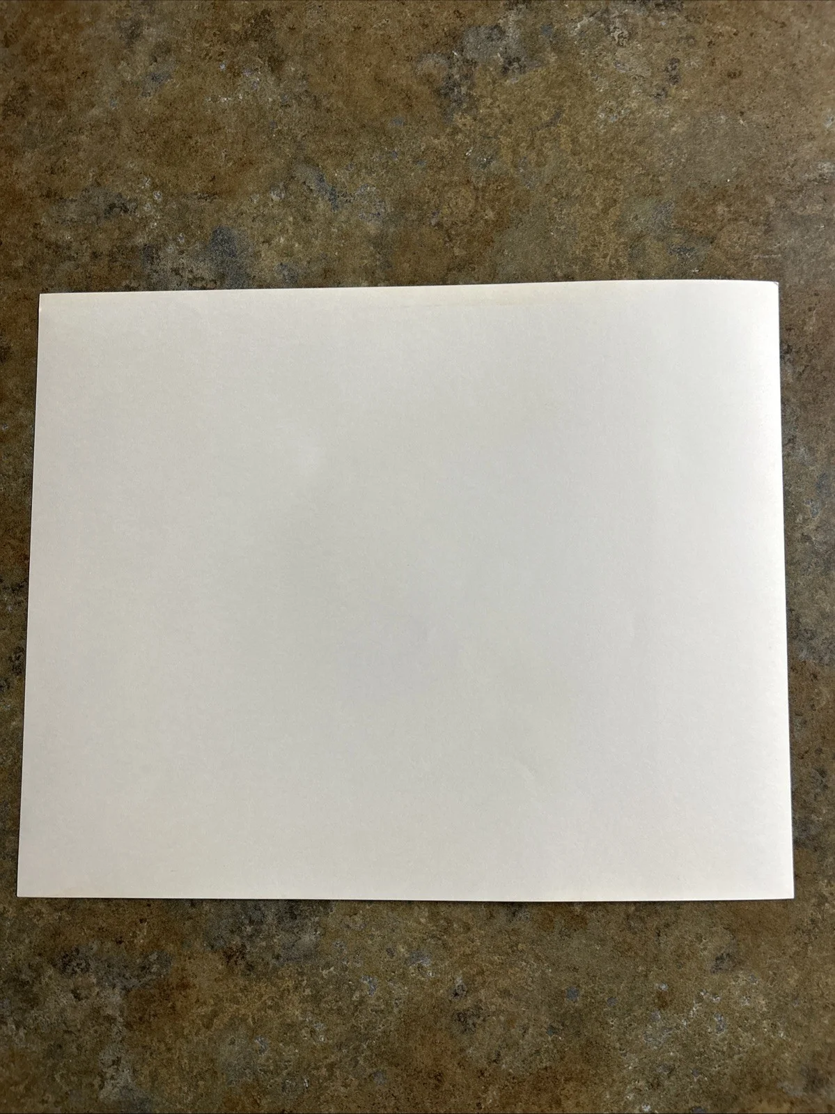 Vintage Elisa Fiorillo Autographed Press Kit, image 4