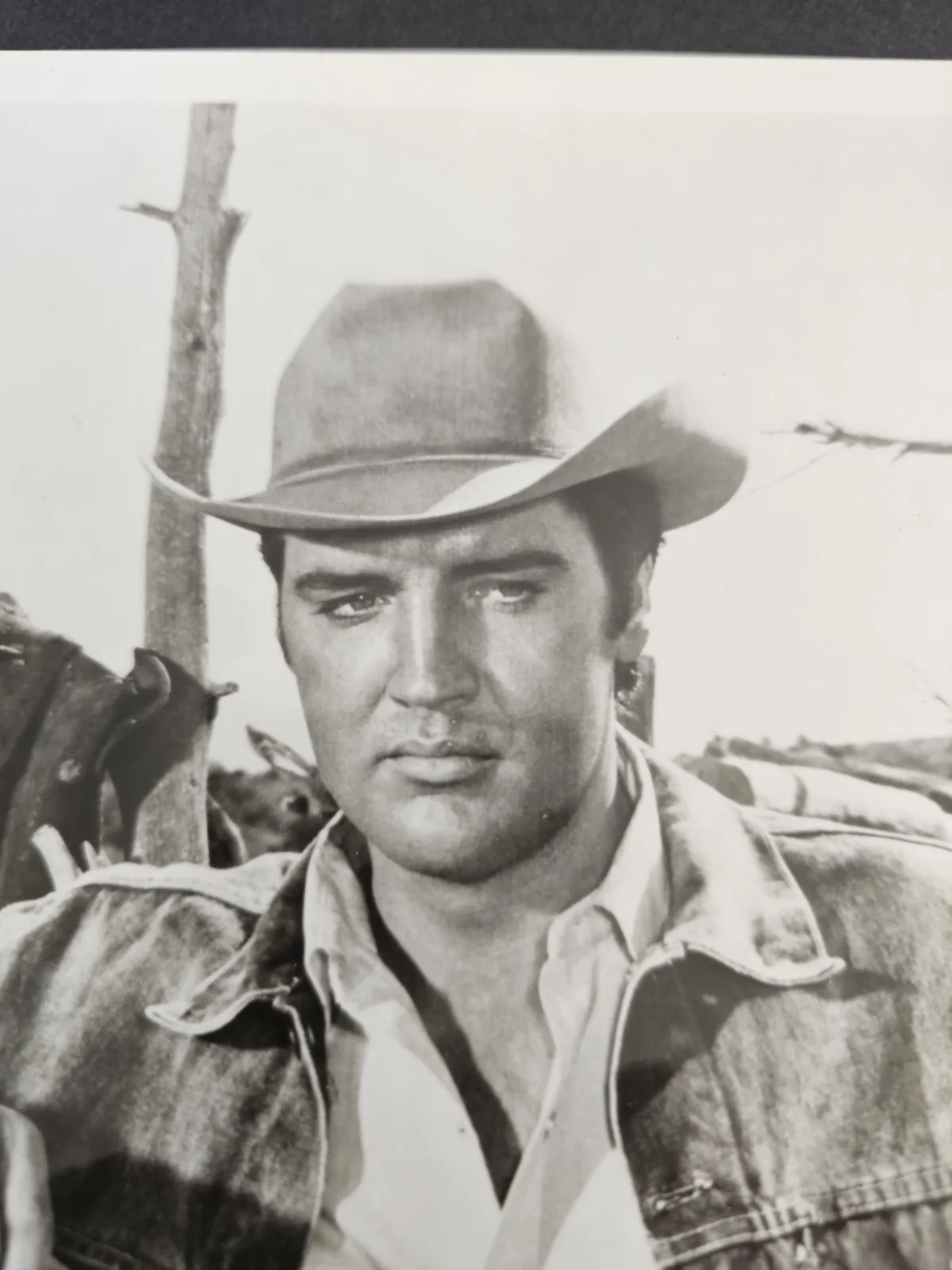 Elvis Presley Pen Hand Written "To My Friend" Photo 8"X10", изображение 3