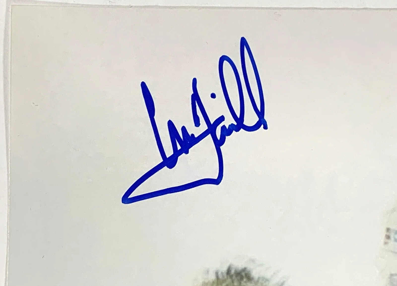 Harrison Ford, Mark Hamill — Harrison Ford Mark Hamill signed Star Wars ESB Photo beckett official pix, image 2