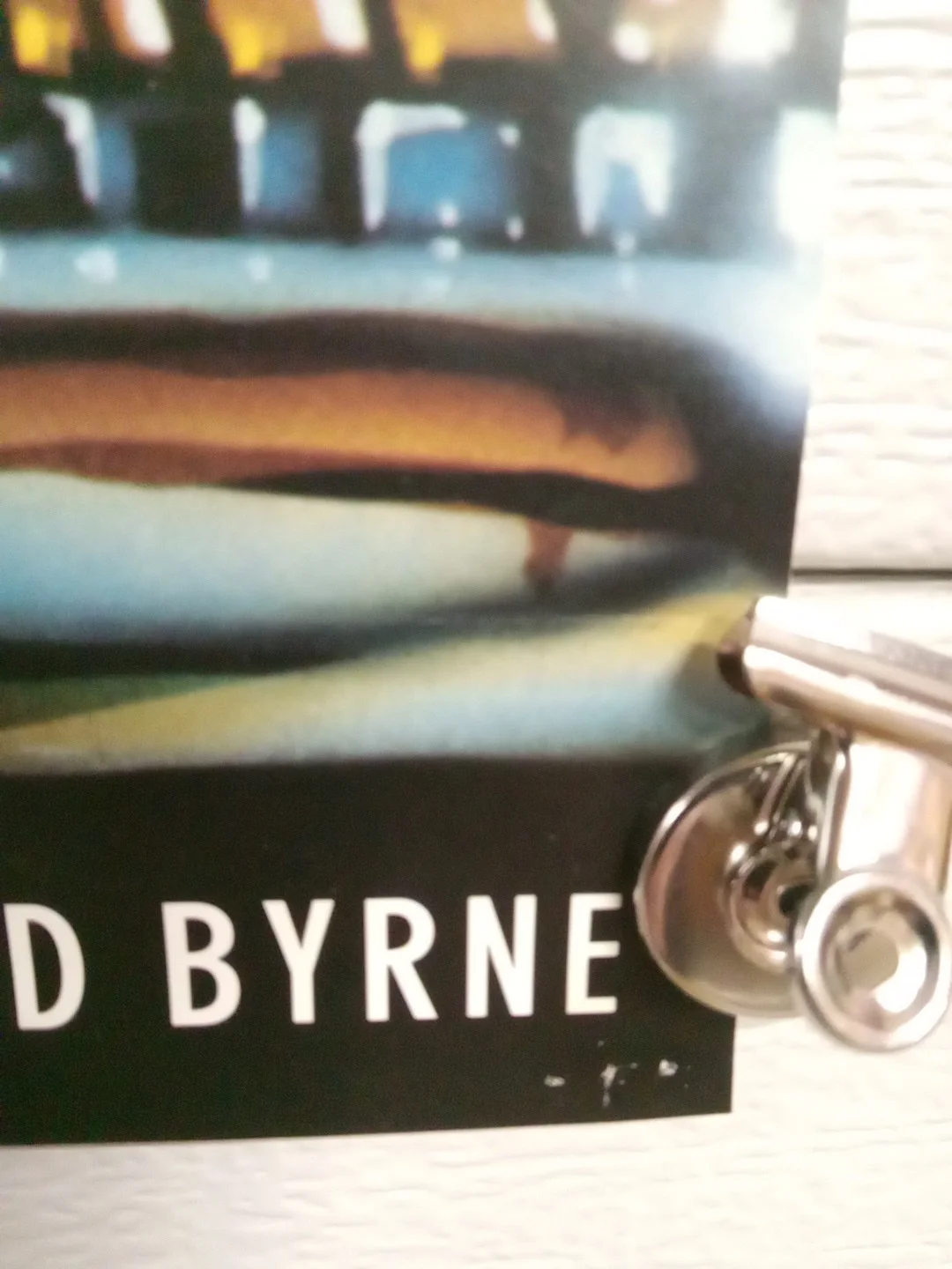 David Byrne The Forest Promotional Poster 18x24, изображение 4