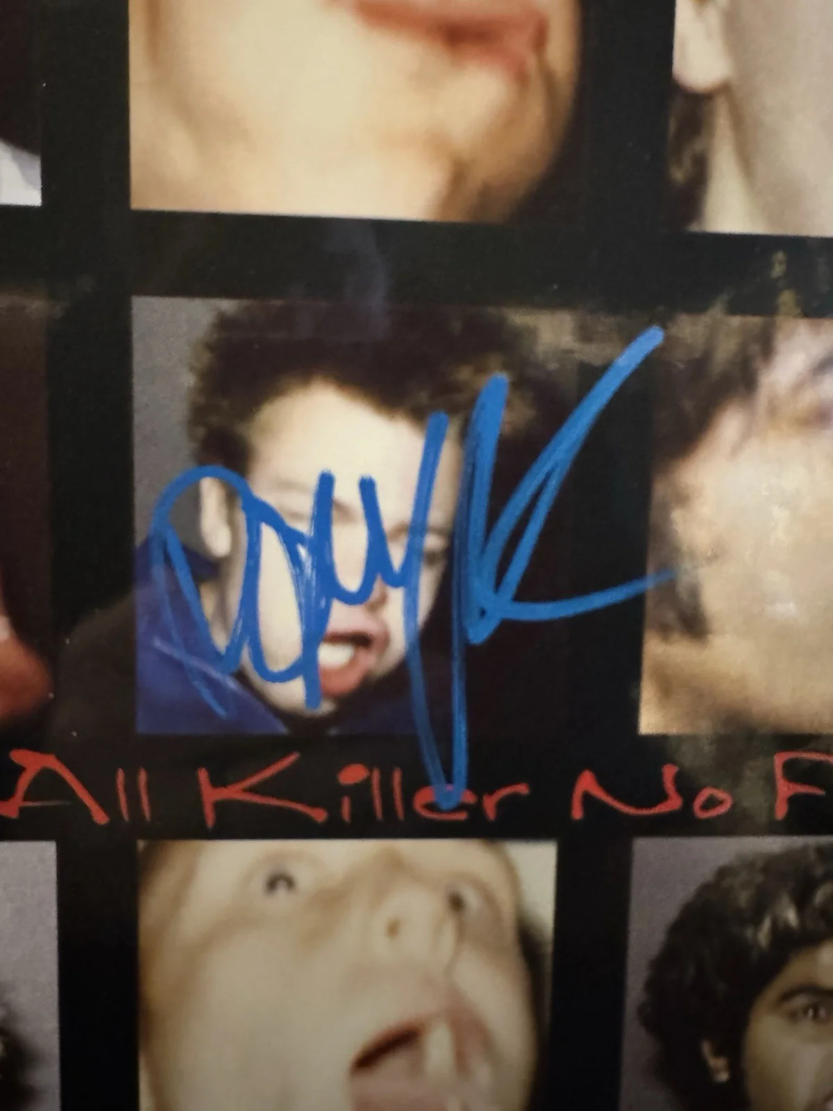 Sum 41 All Killer No Filler Vinyl Signed by Deryck Whibley Autographed, изображение 3