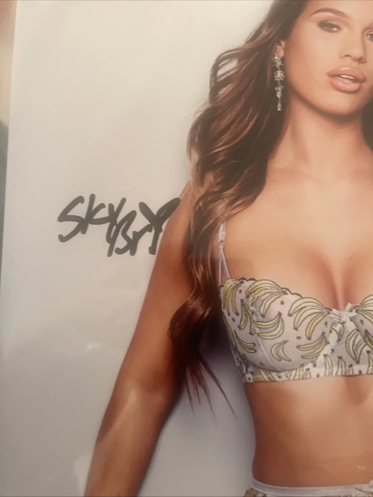 Sky Bri Beautiful Sexy Adult Star Signed Autographed 8x10 Photo COA, изображение 2