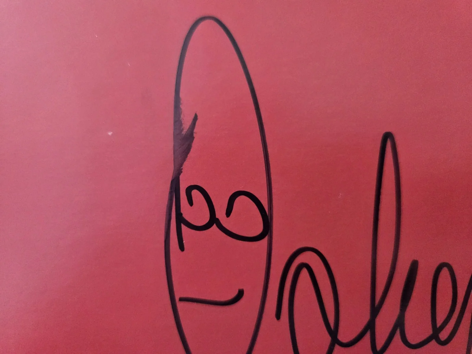 Paul Oakenfold Southern Sun Autographed Vinyl Album JSA, image 2