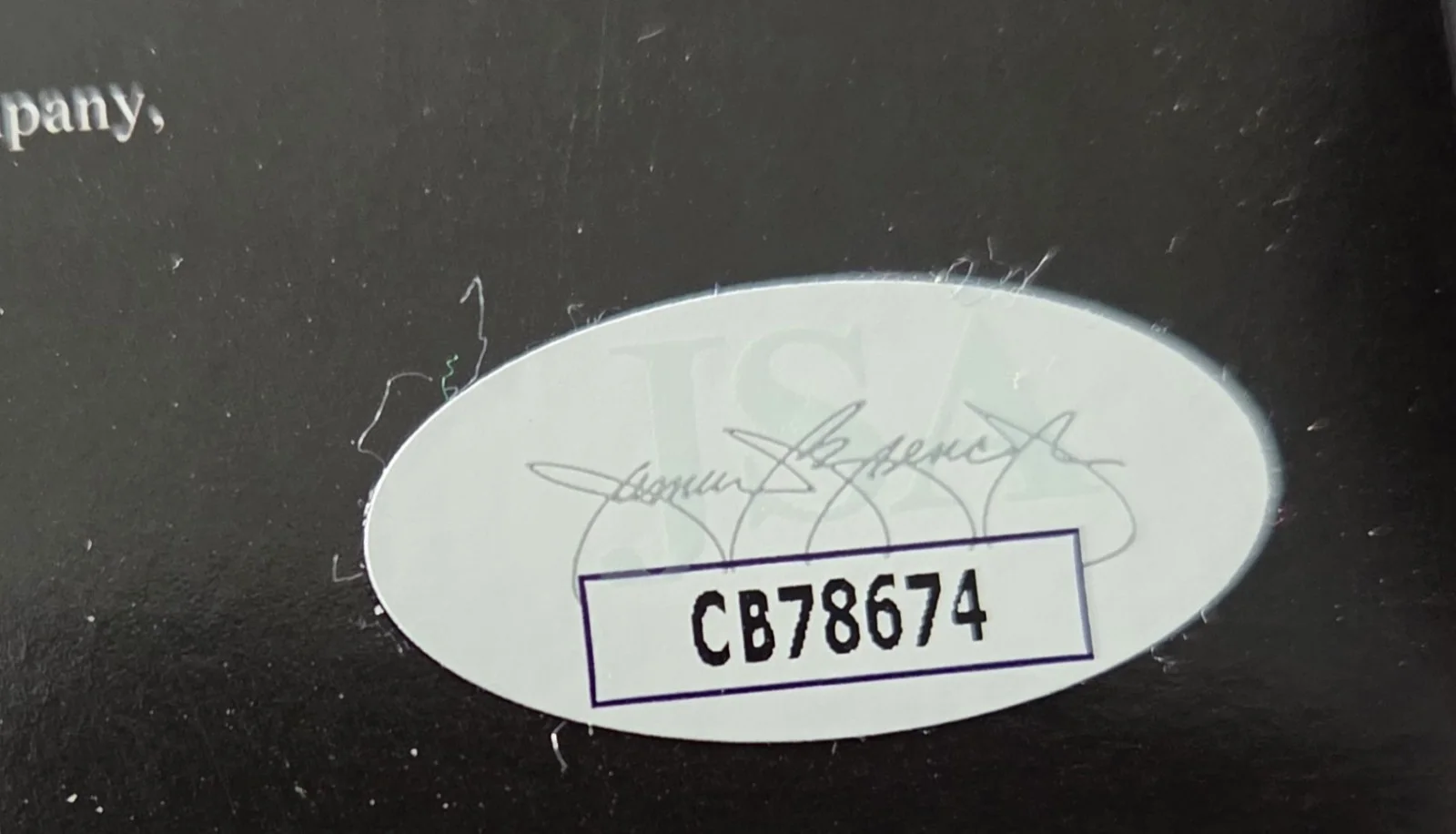 Pantera Vuglar Display Of Power Autographed Vinyl Album JSA, изображение 2