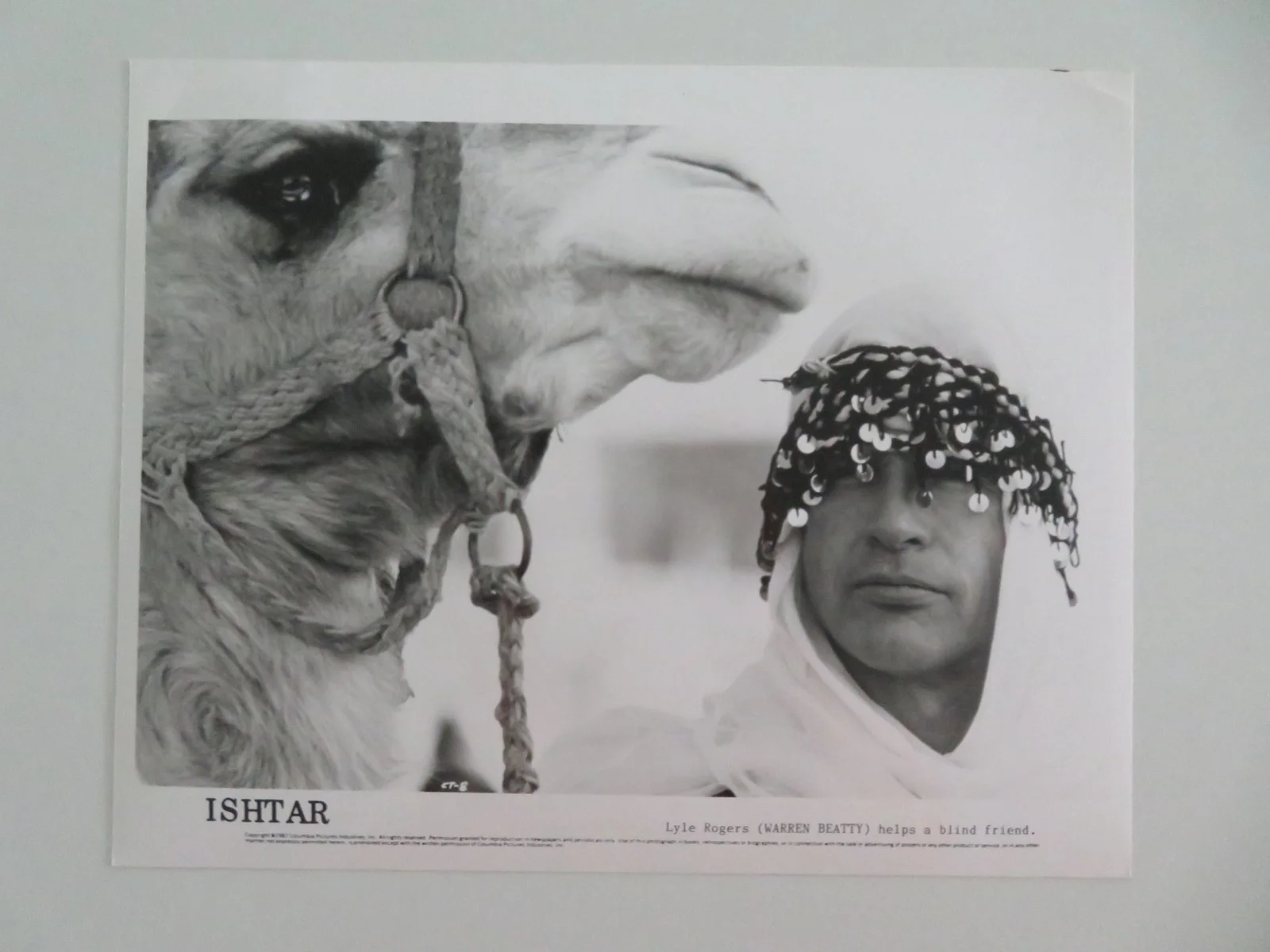 ISHTAR MOVIE STILL PHOTO LOT OF 5 DUSTIN HOFFMAN WARREN BEATTY 1987, изображение 5