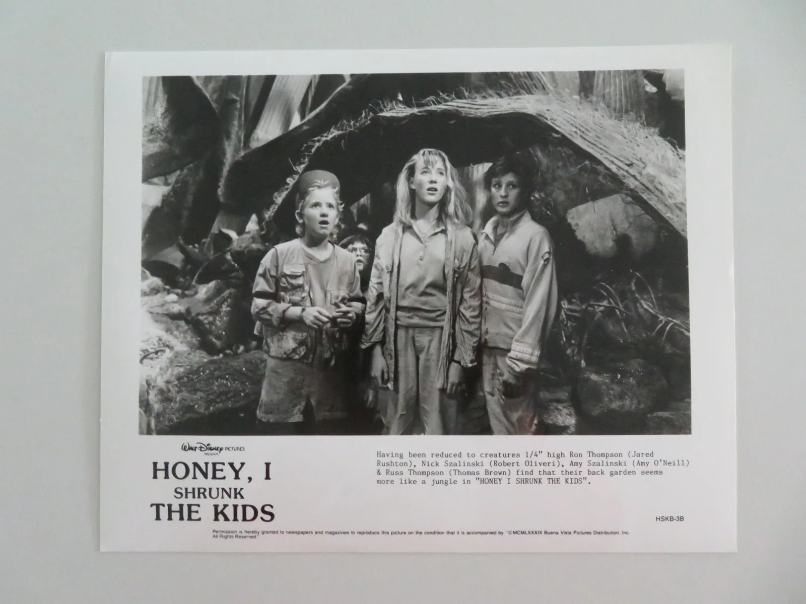 HONEY I SHRUNK THE KIDS MOVIE STILL PHOTO LOT OF 5 DISNEY RICK MORANIS 1989, изображение 3