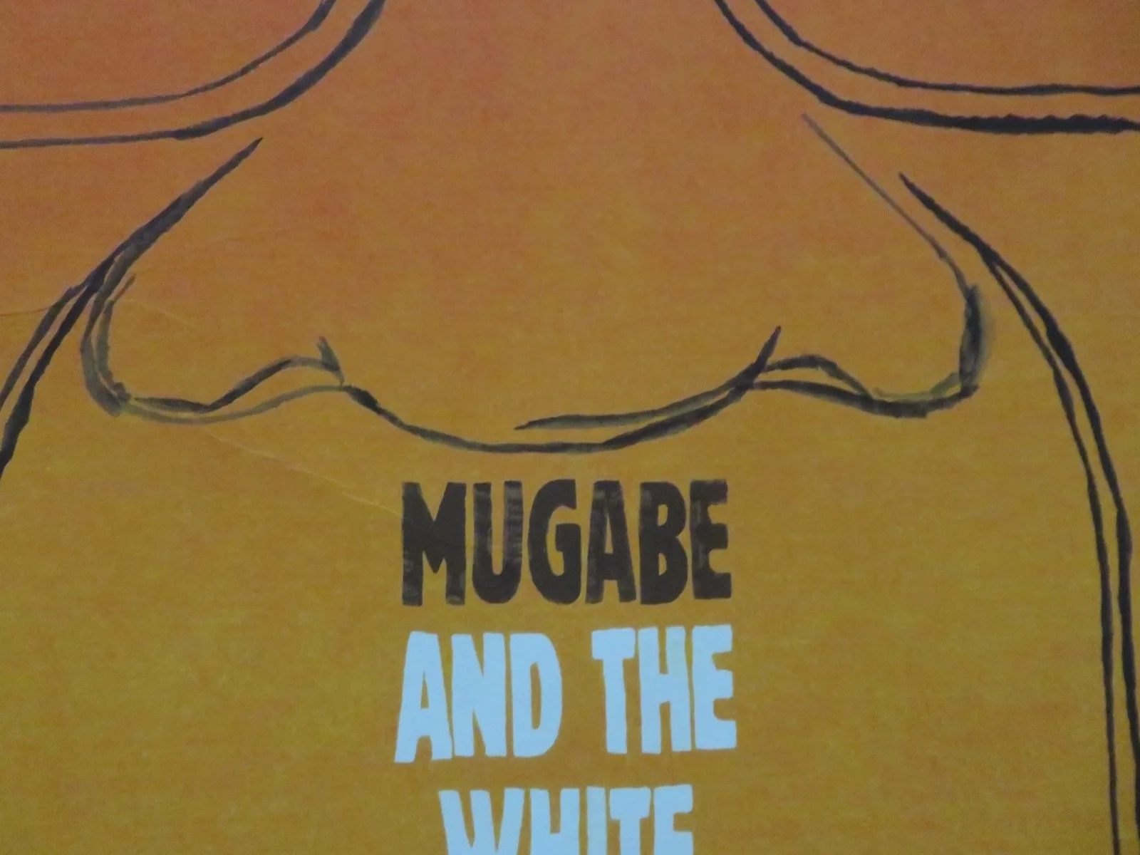 MUGABE AND THE WHITE AFRICAN UK QUAD ROLLED POSTER 2009, изображение 2