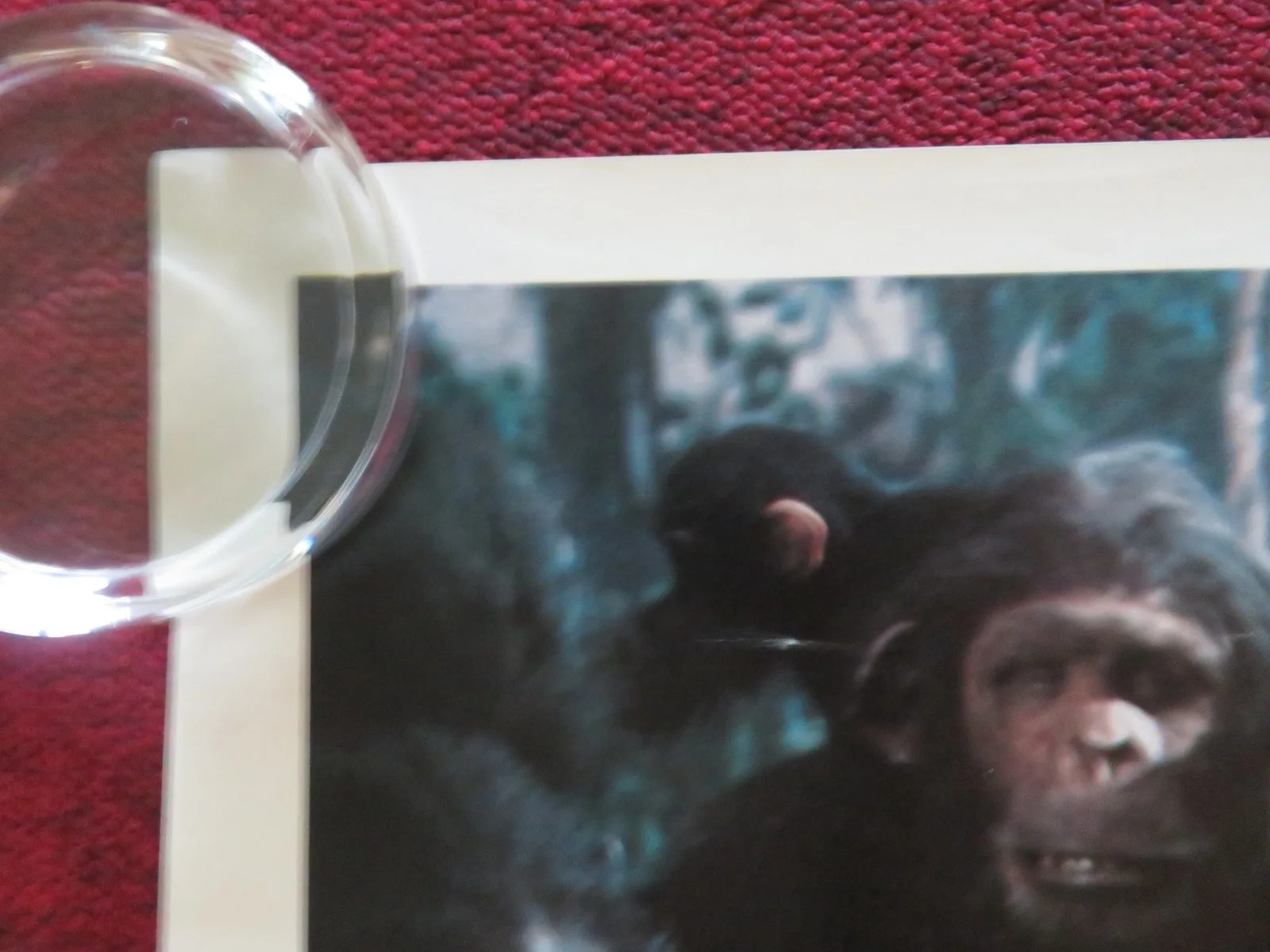 GREYSTOKE: THE LEGEND OF TARZAN, LORD OF THE APES UK QUAD ROLLED POSTER 1984, изображение 4