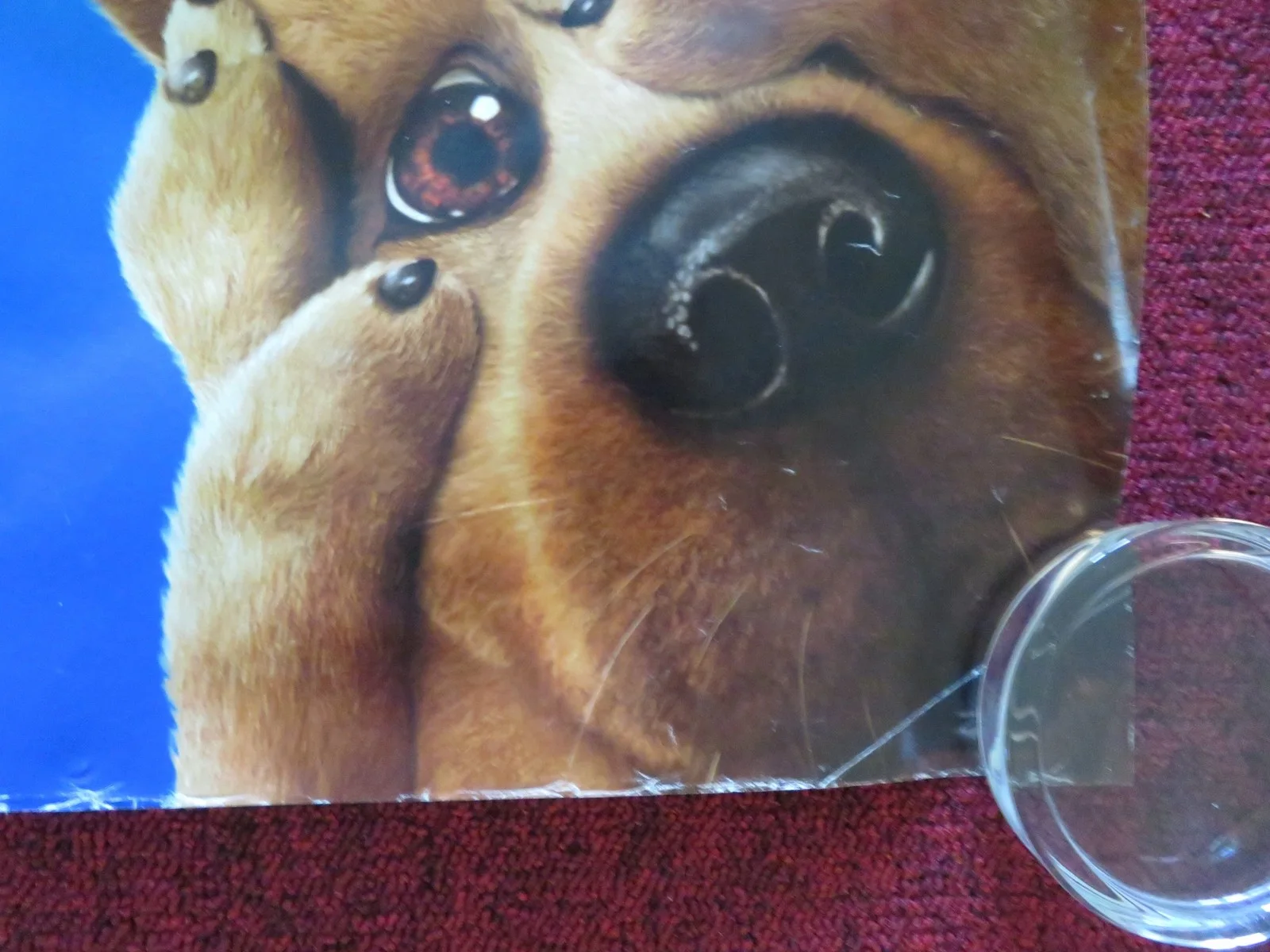 SCOOBY DOO 2: MONSTERS UNLEASHED UK QUAD ROLLED POSTER FREDDIE PRINZE JR. 2004, image 5