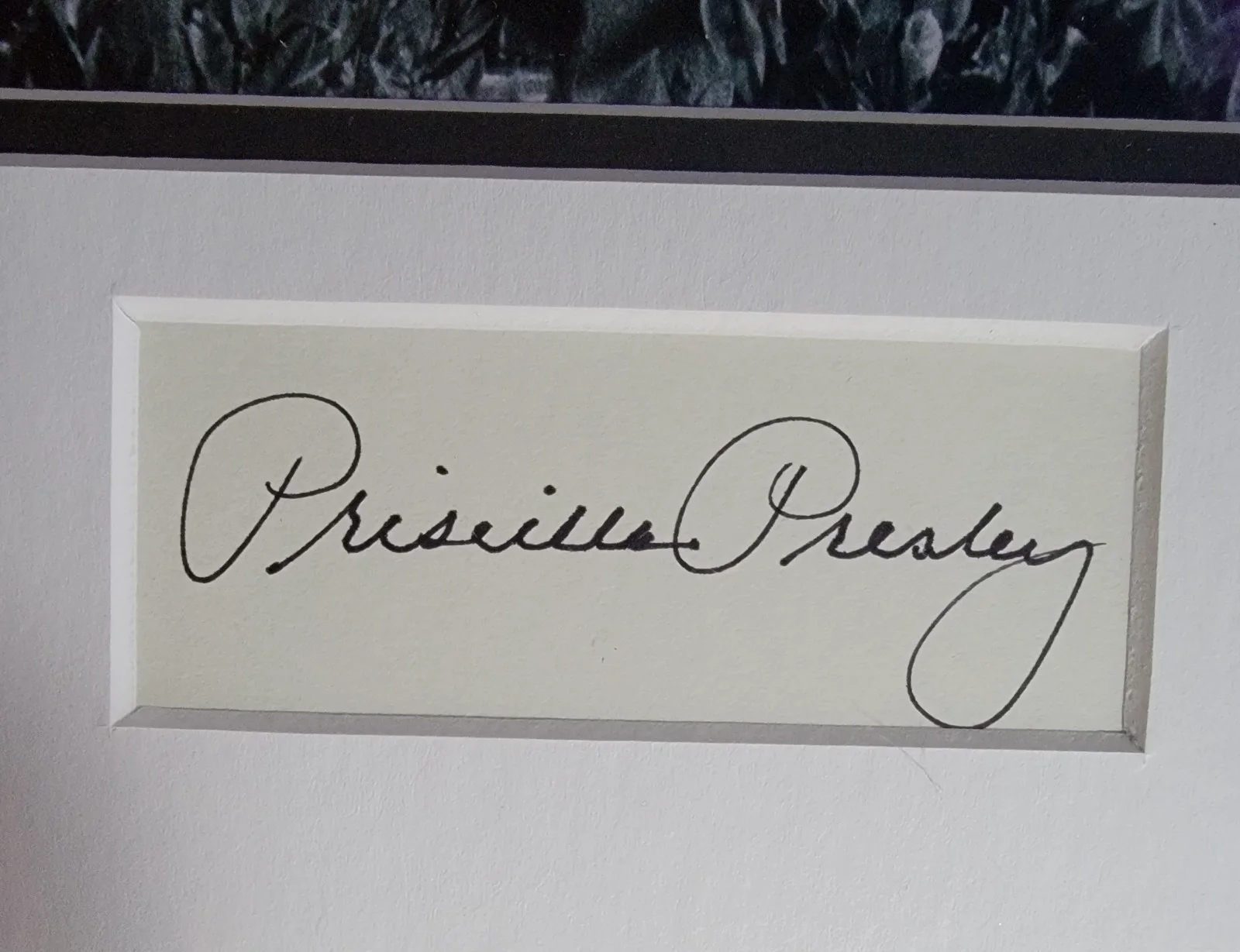 Priscilla Presley Signed Cut W/ 8x10 Photo + 11x14 Frame Ready Custom Matte ACOA, изображение 2