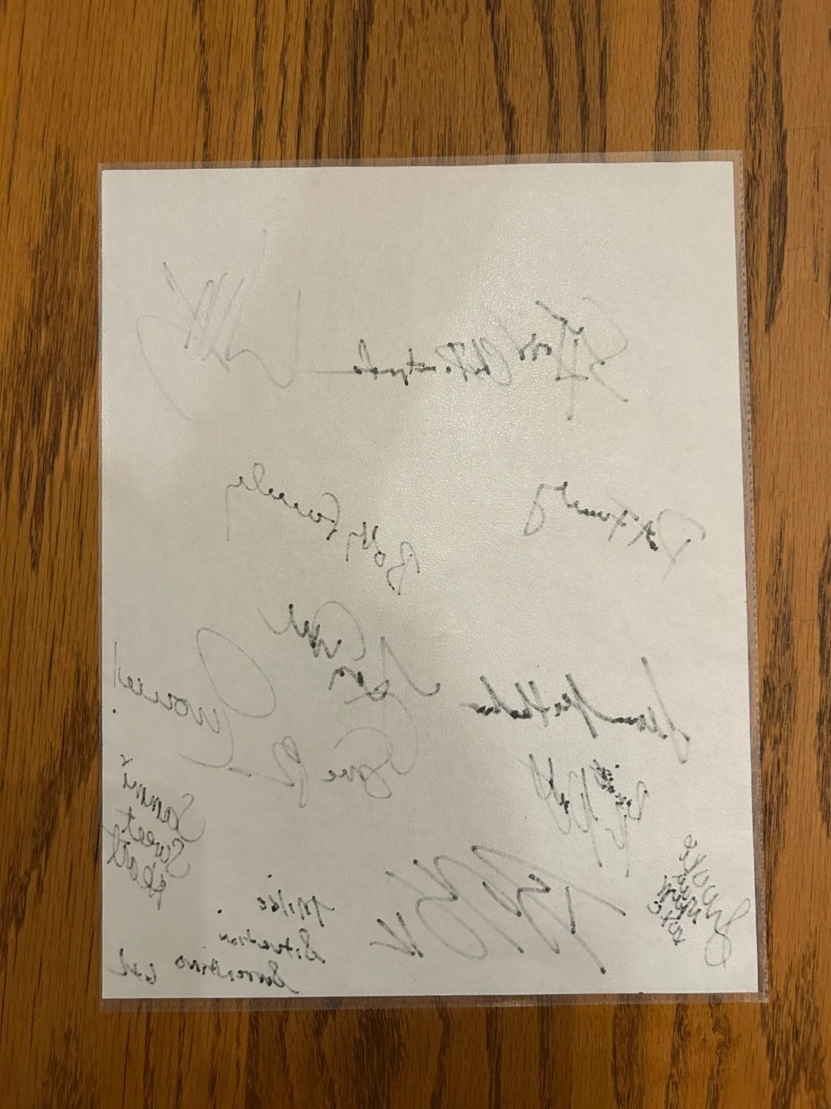 Three Stooges Movie Signed Script Cover w/ 14 Cast & Crew Signatures - JSA LOA, image 4