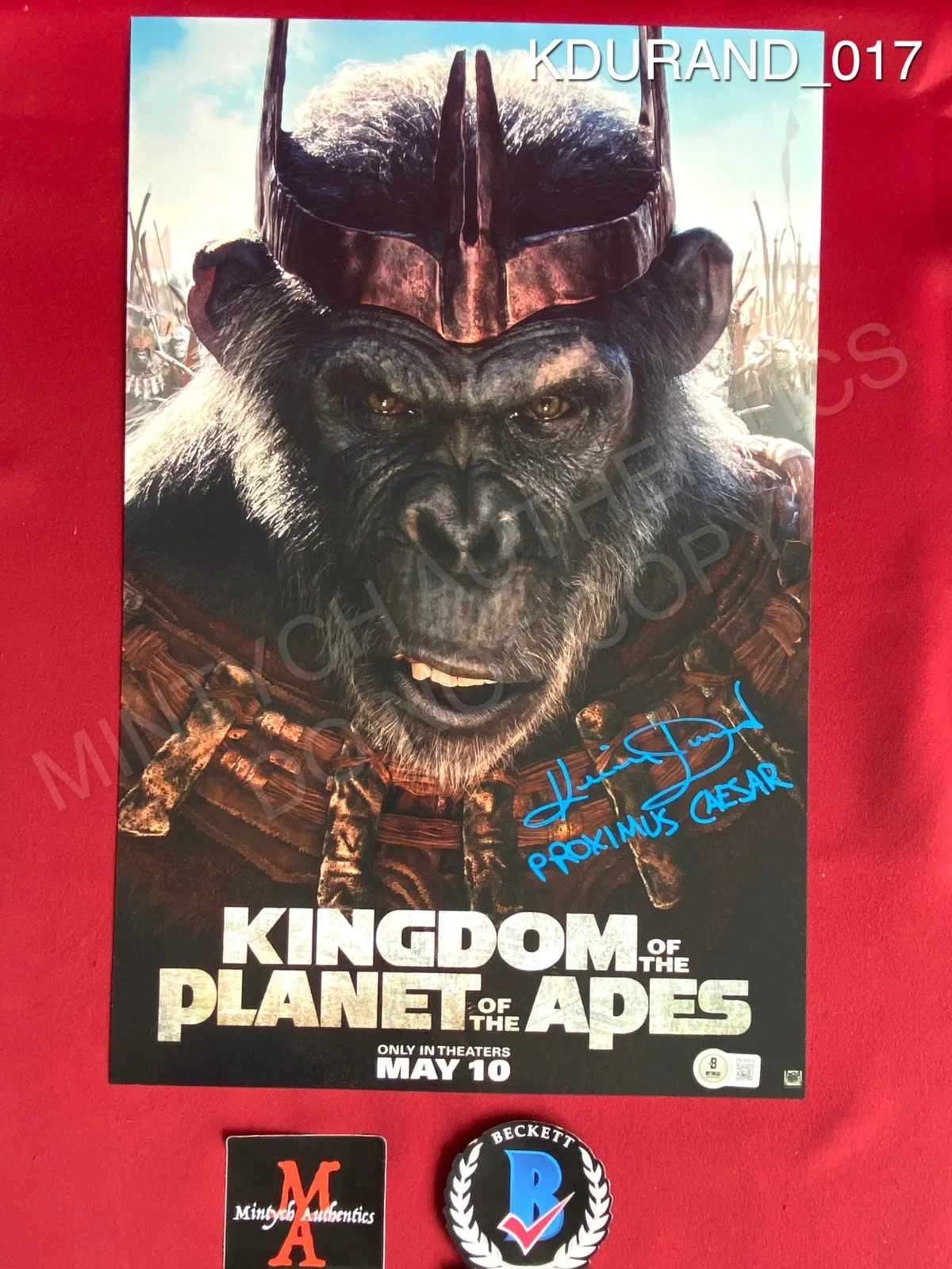 Kevin Durand — Kevin Durand signed 11x17 photo Kingdom of the Planet of the Apes Beckett COA