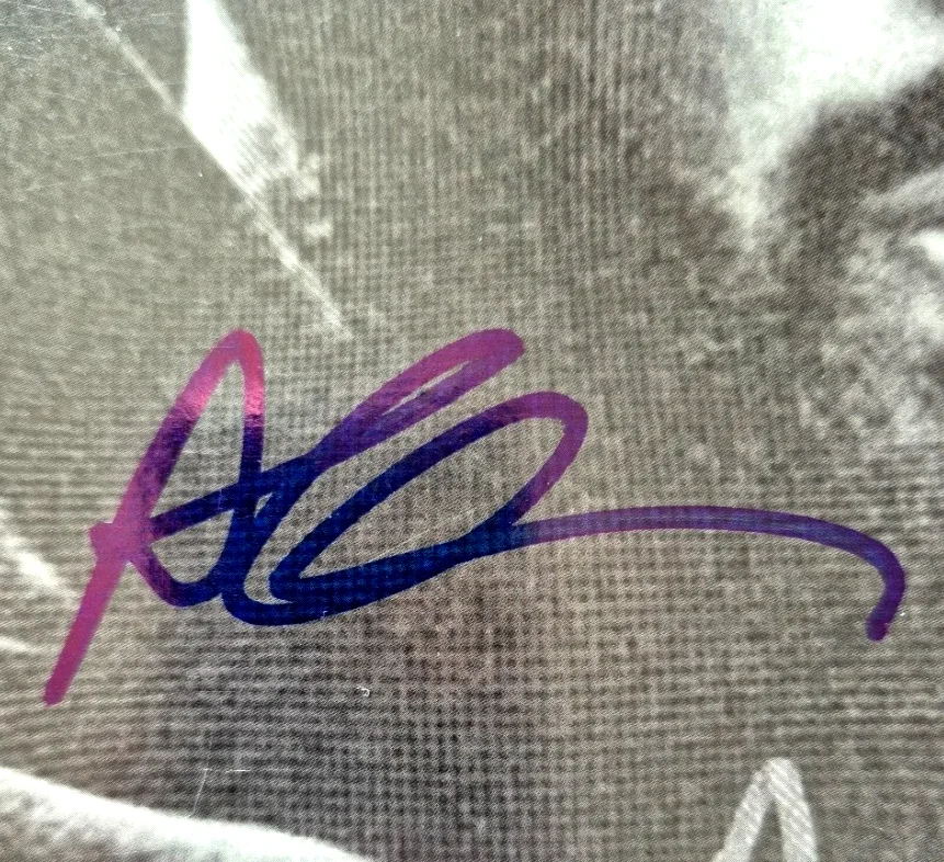 DRAKE SIGNED AUTOGRAPHED SCORPION ALBUM VINYL AUBREY GRAHAM OVOXO PSA DNA COA 3, изображение 3