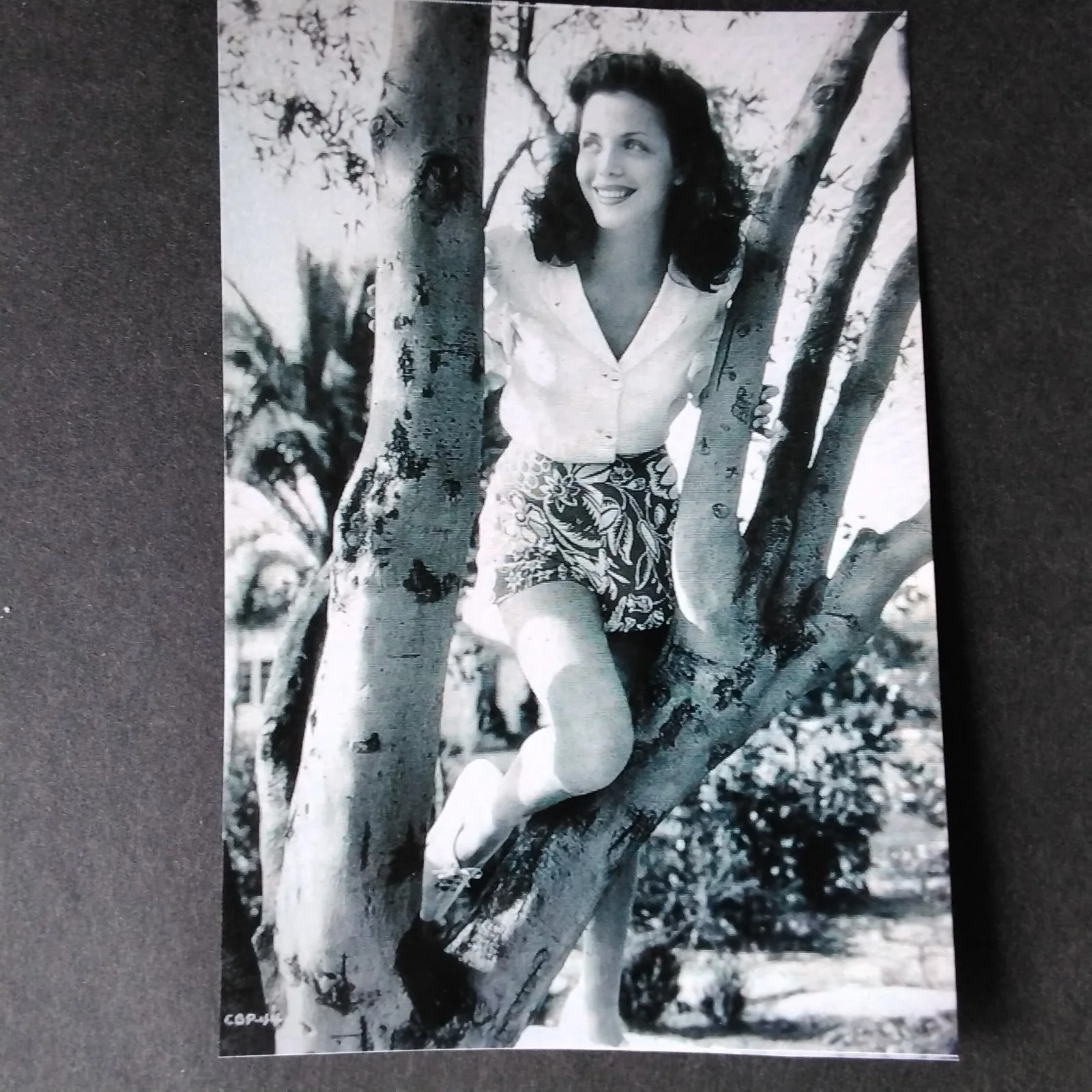Carol Bruce Signed Letter Photo 40s Movie TV Actress Woman is Mine WKRP Pal Joey, изображение 5