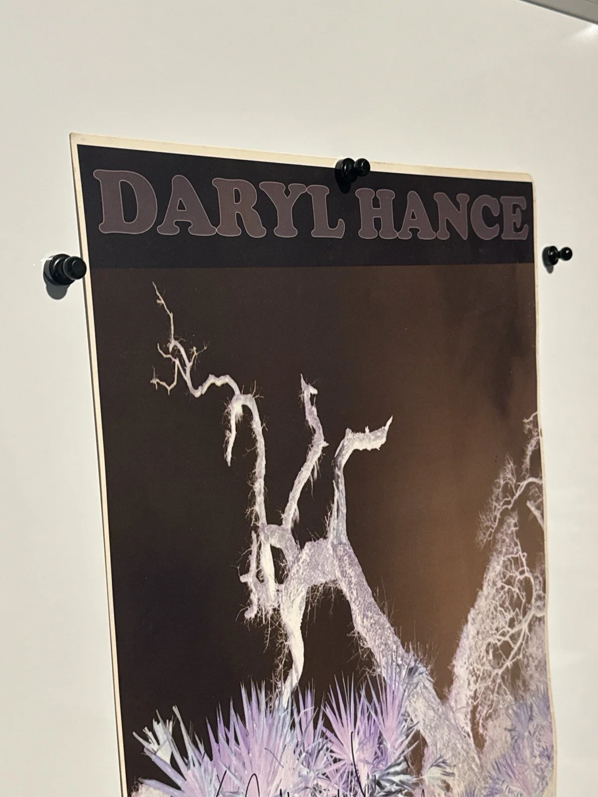 Daryl Hance “Hallowed Ground” Signed Promo Poster – Autographed – Rare Music Art, изображение 2