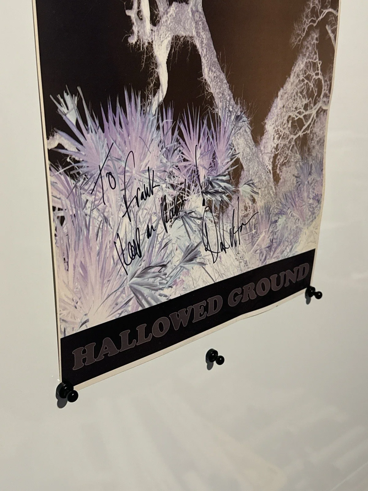 Daryl Hance “Hallowed Ground” Signed Promo Poster – Autographed – Rare Music Art, изображение 3