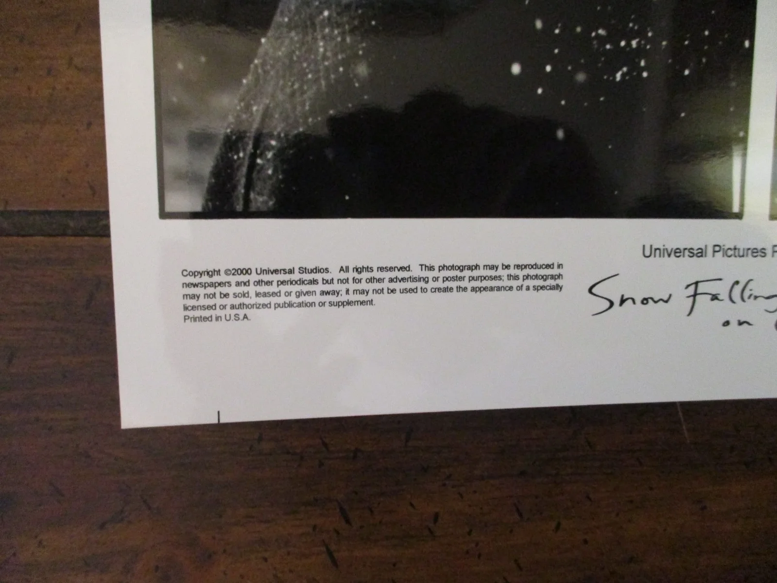 Ethan Hawke/Anne Suzuki/Youki Kudoh(SNOW FALLING ON CEDARS)2000 10 x 8 B&W Photo, изображение 3