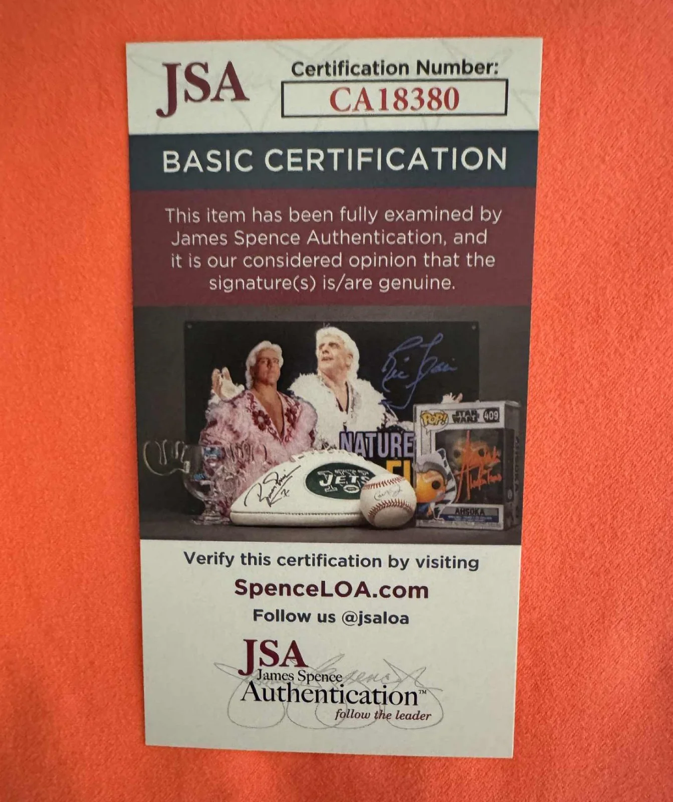 PRISCILLA PRESLEY — PRISCILLA PRESLEY autographed OML signed baseball! The Naked Gun JSA/COA (ELVIS), изображение 4