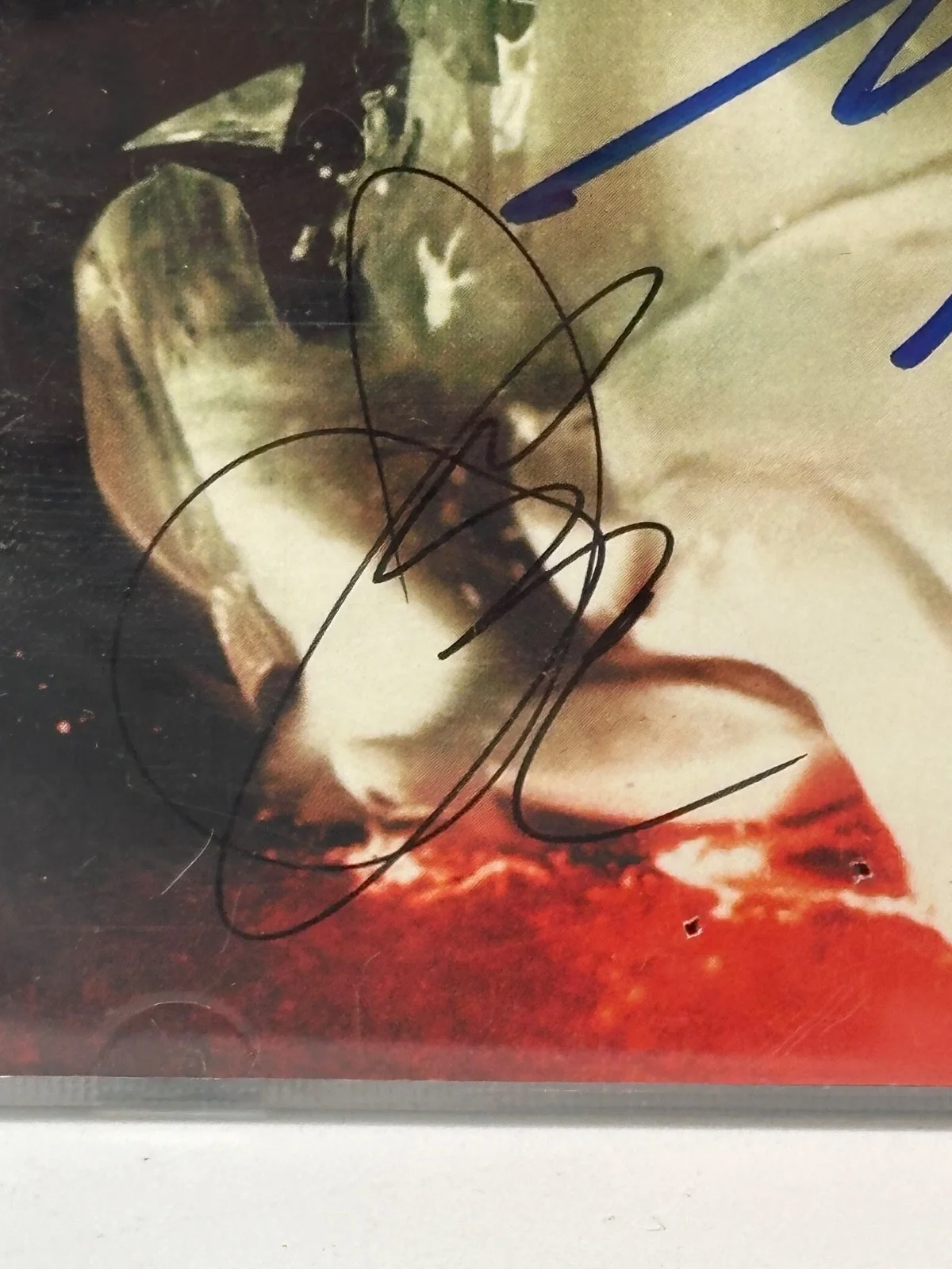 Chevelle “Wonder What’s Next” Signed CD Lot 4 Pieces Early Concert Autographs, изображение 5