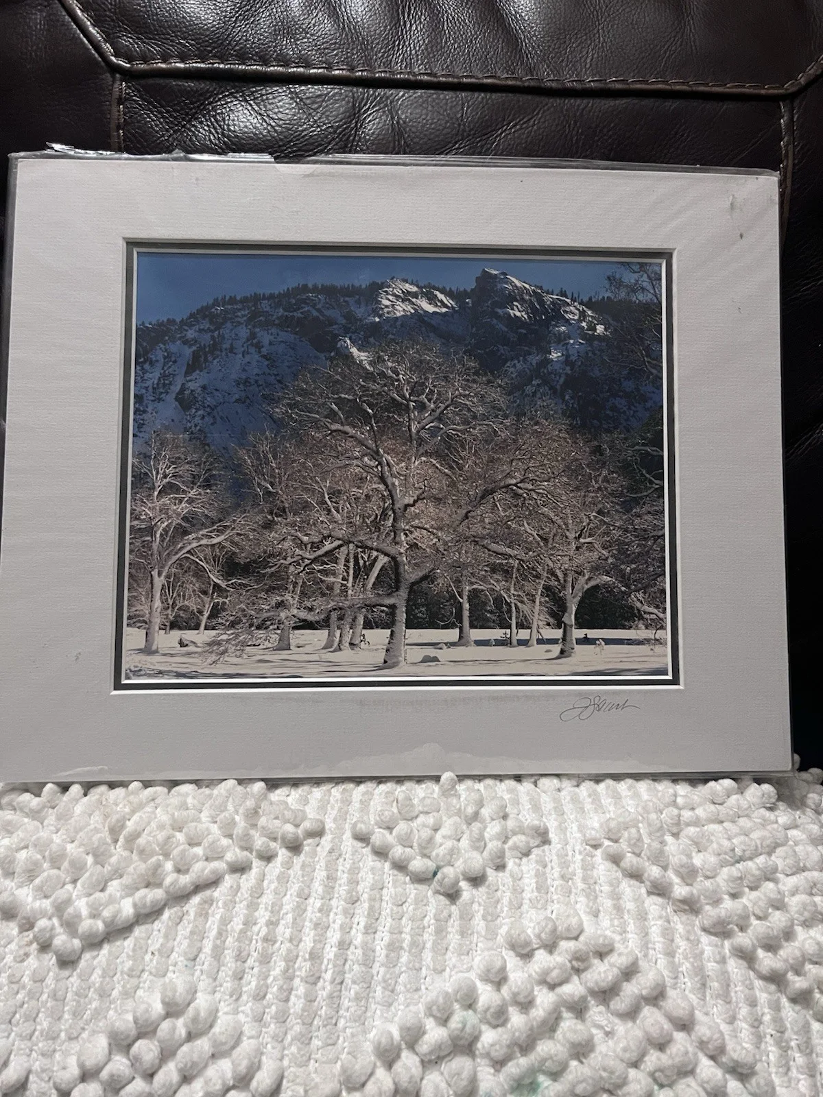 John Garvrillis Signed Autographed Original Photo 8x10 Yosemite Winter Oak Trees, изображение 2