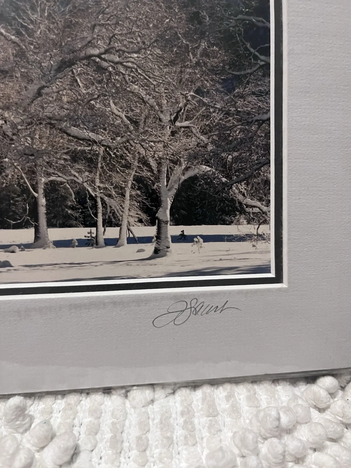 John Garvrillis Signed Autographed Original Photo 8x10 Yosemite Winter Oak Trees, изображение 3