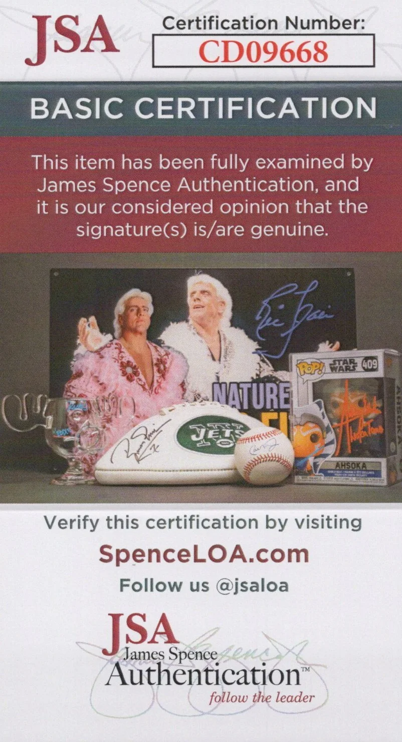 David Wise, Kevin Bayliss, Chris Sutherland, Steve Mayles — Chris Sutherland David Wise +2 Signed 8x10 Donkey Kong Country Photo JSA COA, изображение 2