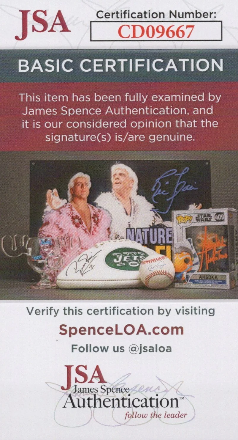 David Wise, Kevin Bayliss, Chris Sutherland, Steve Mayles — Chris Sutherland David Wise +2 Signed 8x10 Donkey Kong Country Photo JSA COA, image 2