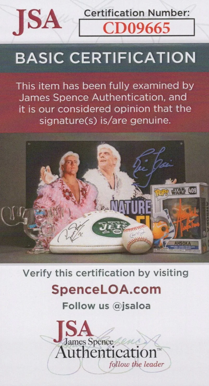David Wise, Kevin Bayliss, Chris Sutherland, Steve Mayles — Chris Sutherland David Wise +2 Signed 8x10 Donkey Kong Country Photo JSA COA, изображение 2