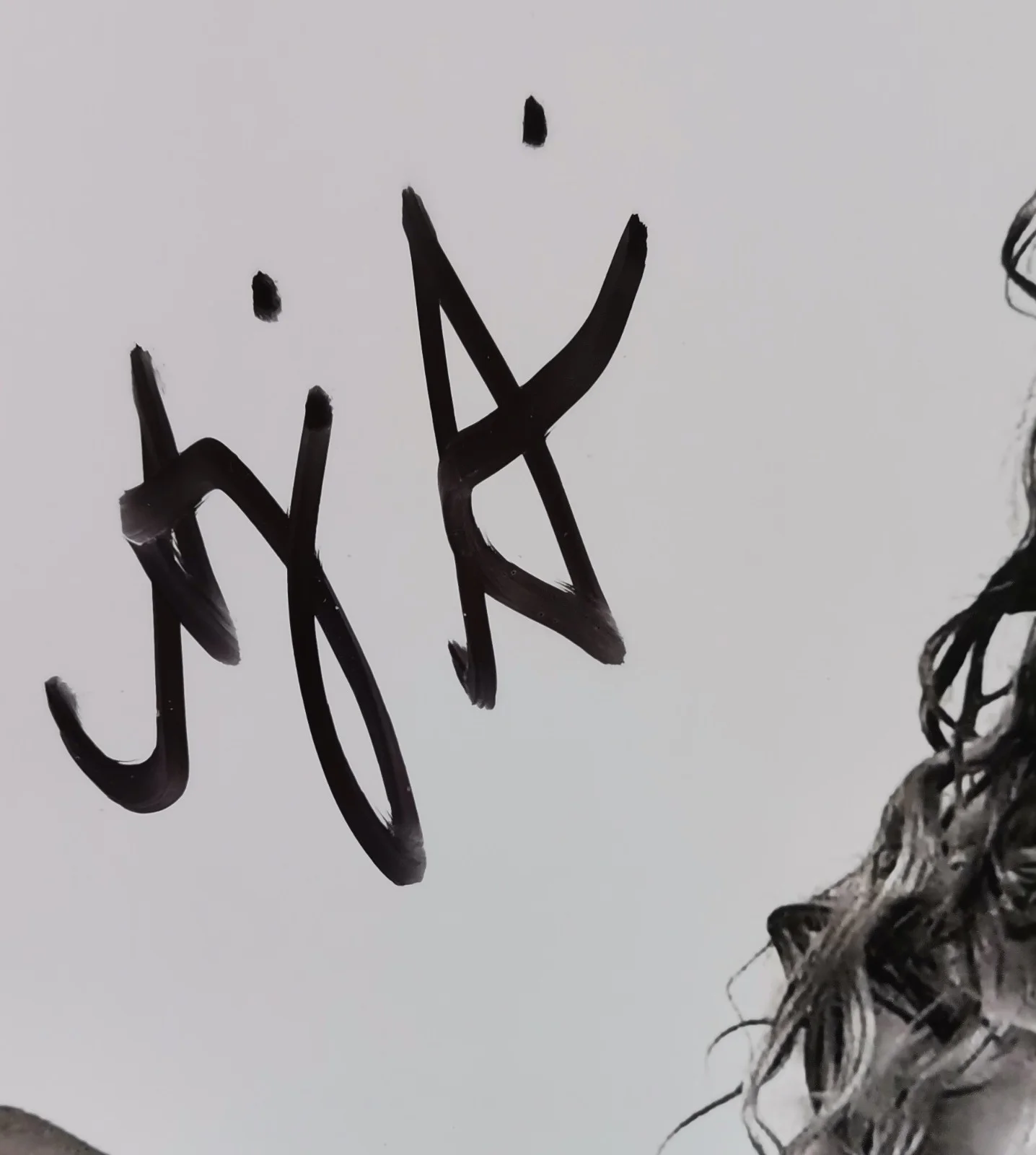 Anna falchi — Anna falchi, Roma Nuda, Model, Signed Autographed 8x6 Photo, изображение 2
