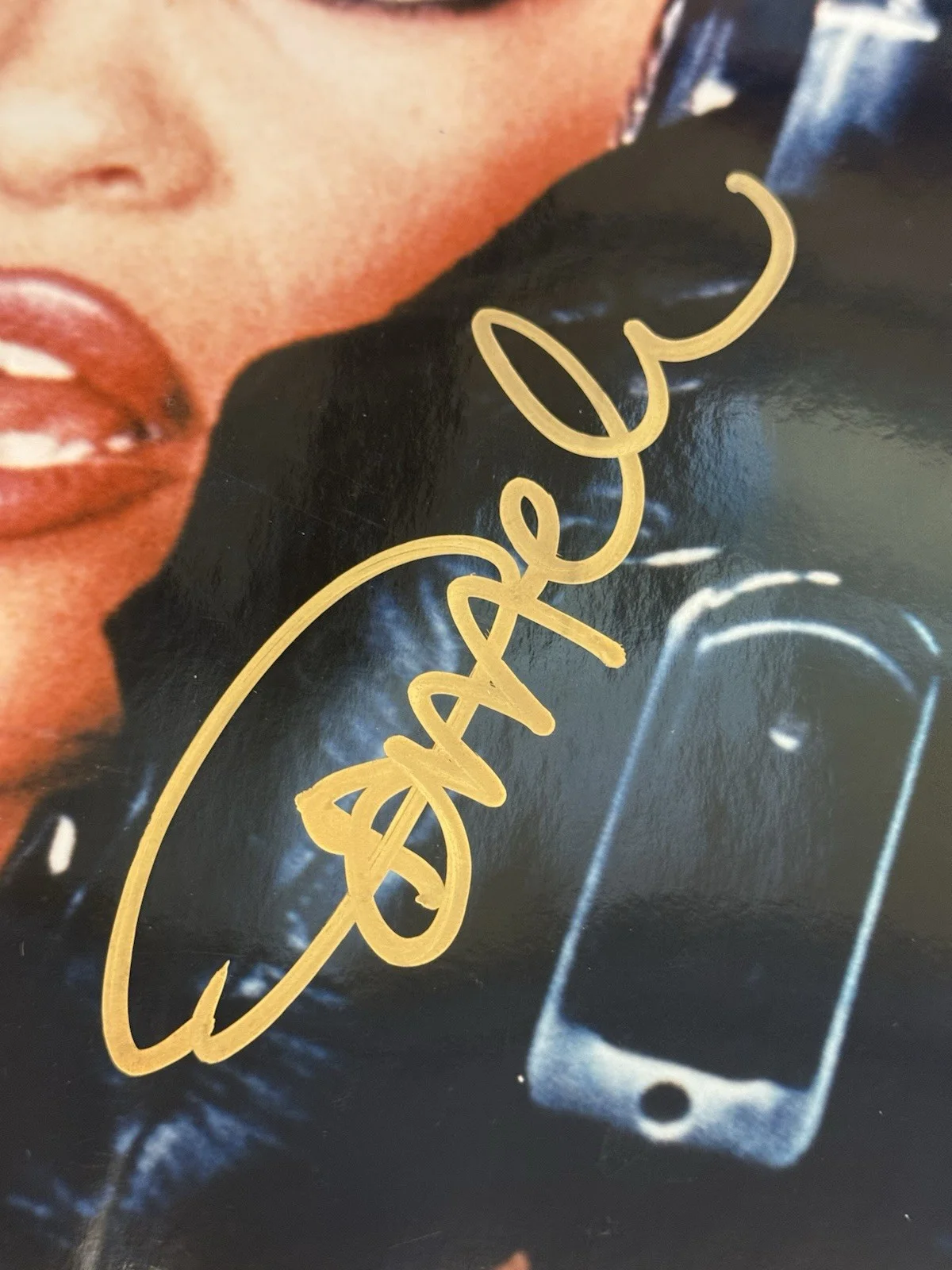Pamela Anderson — PAMELA ANDERSON LARGE SIGNED BARB WIRE AUTOGRAPHED 16x20 PHOTO BAYWATCH, изображение 2