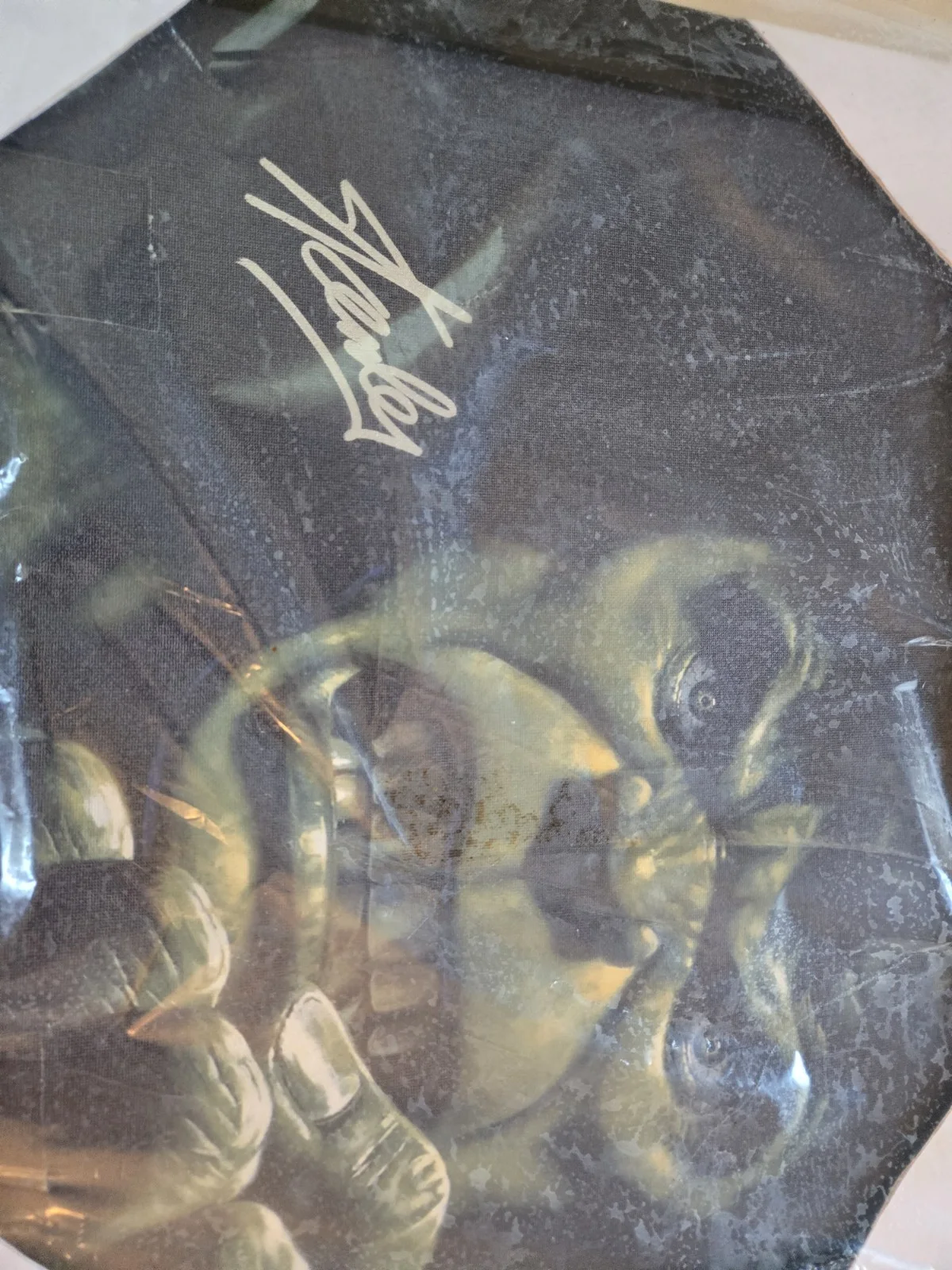 Photograph Of The Incredible Hulk Autograph By Stan Lee, изображение 5