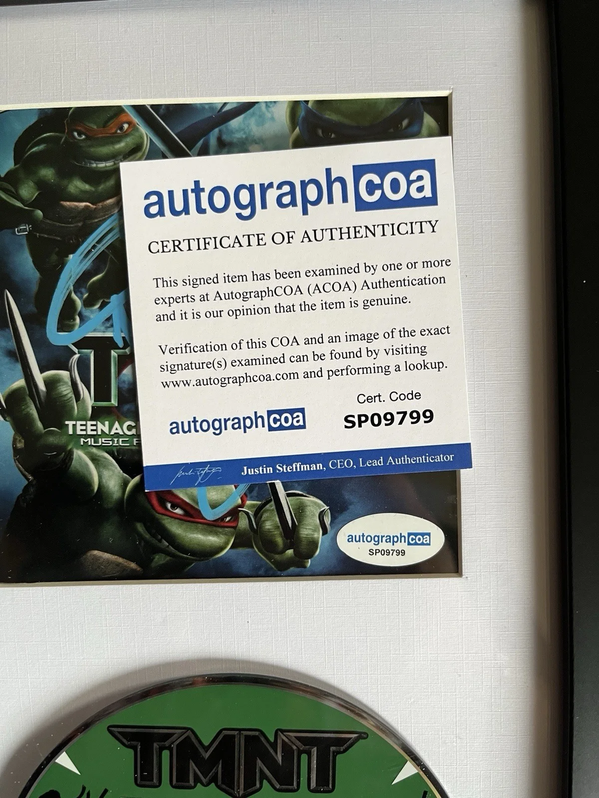 VANILLA ICE SIGNED AUTOGRAPHED FRAMED CD DISPLAY TEENAGE MUTANT NINJA ACOA CERT, image 3