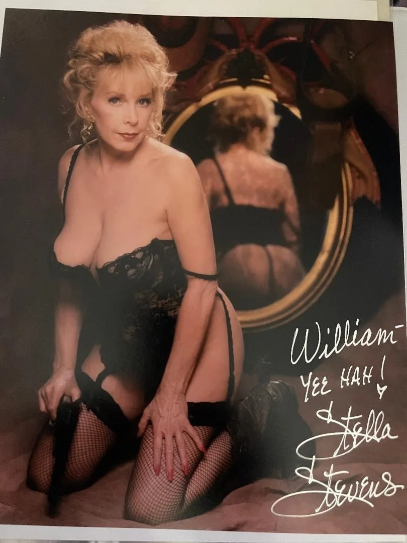 Stella Stevens — Vintage Nutty Professor Stella Stevens Signed 8x10 Photo/To William/Free Ship!