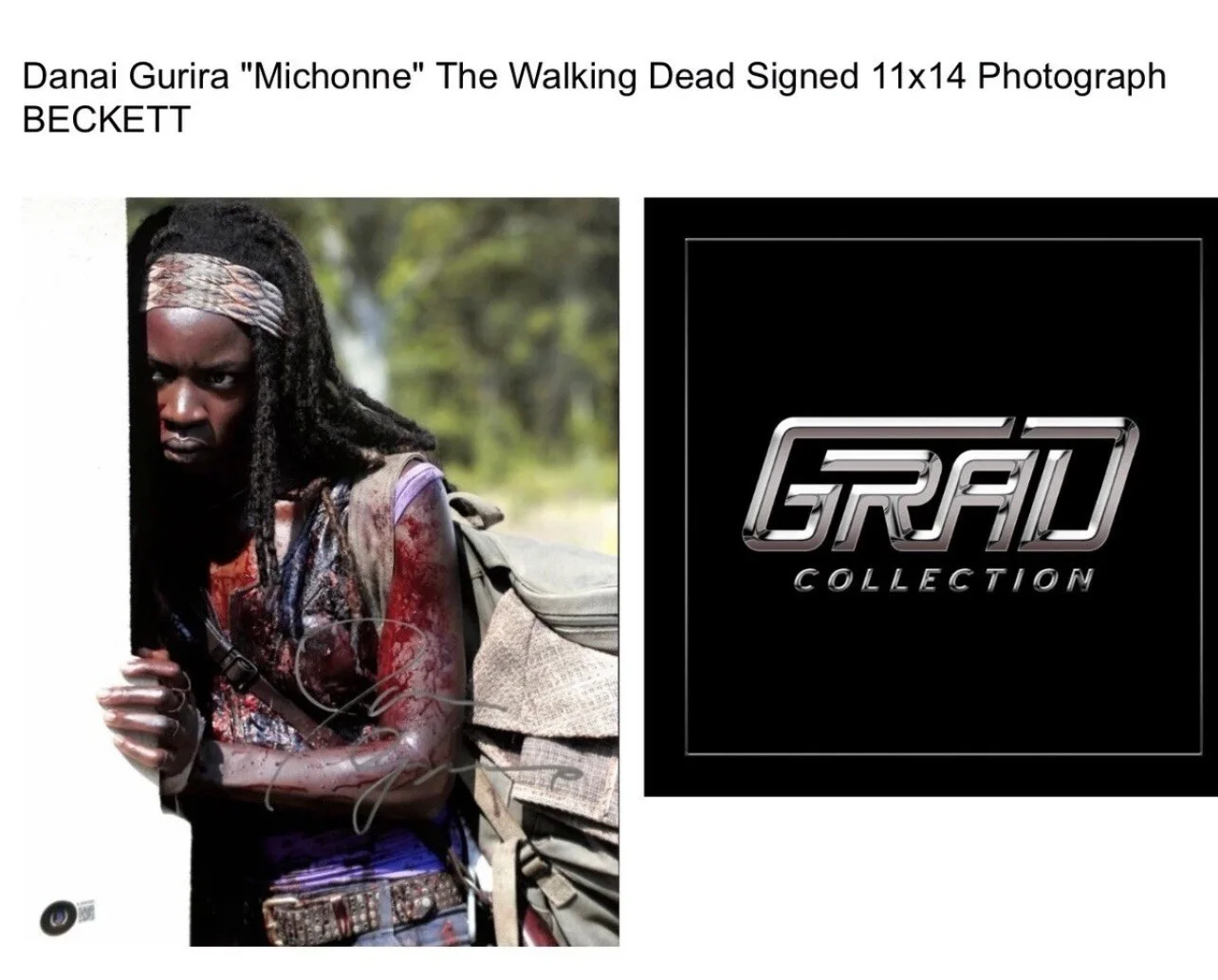 Danai Gurira — Danai Gurira "Michonne" BAS COA The Walking Dead Signed 11x14 Photograph BECKETT, image 2