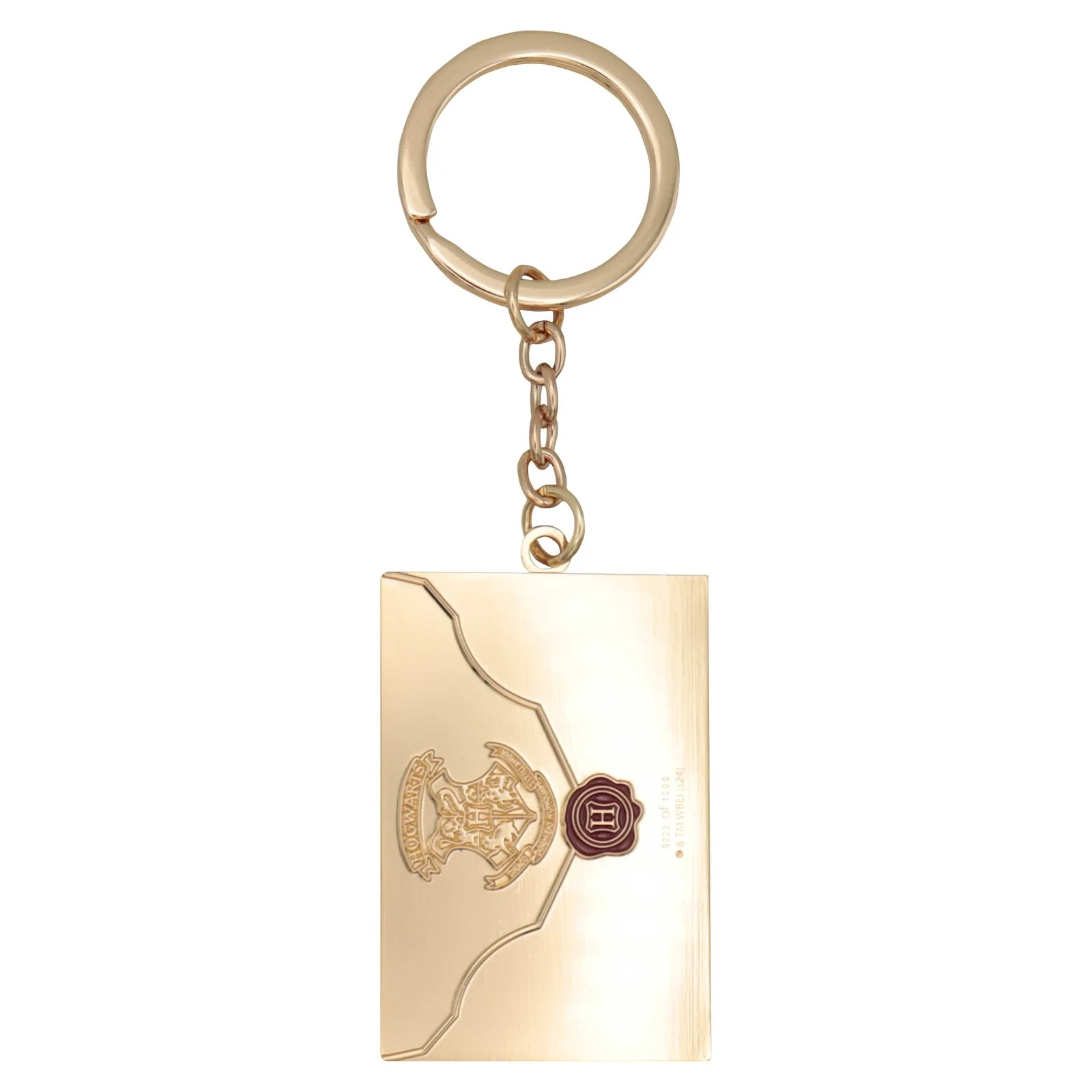 HARRY POTTER LETTER | Limited Edition Keyring, image 5