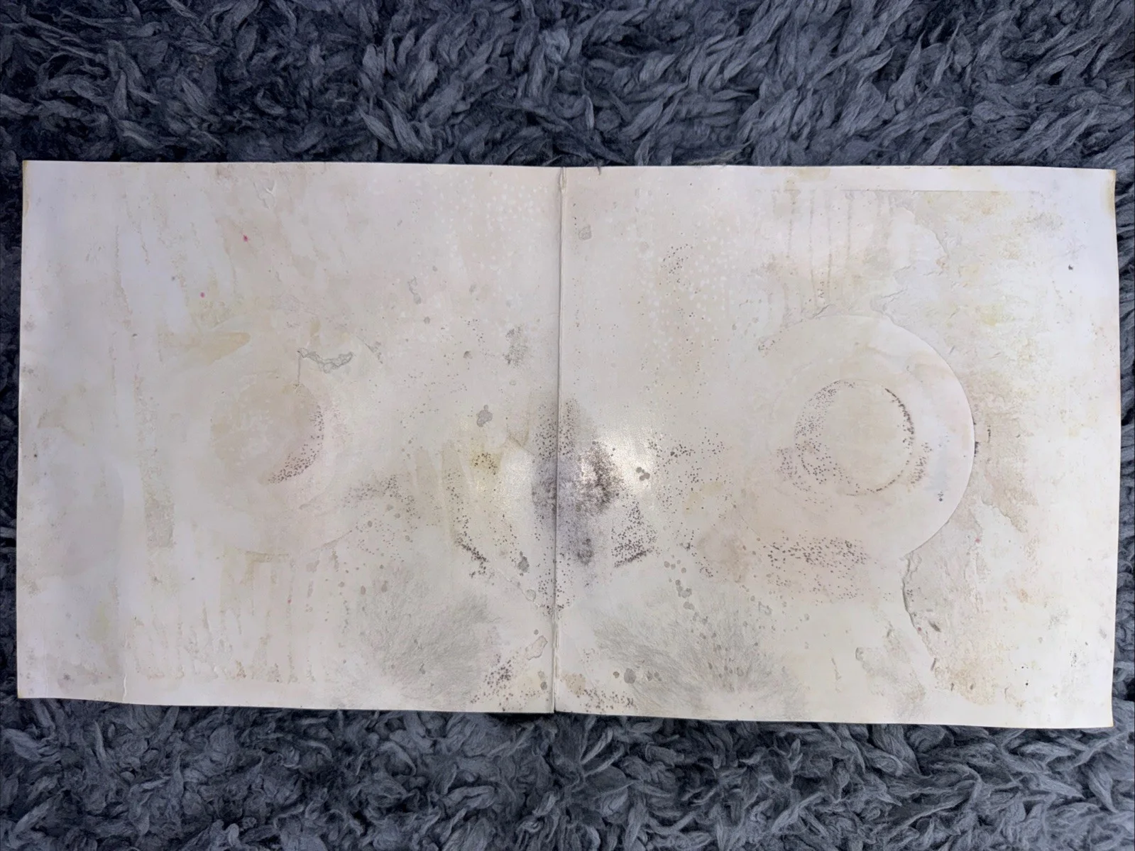 Mike McCready — Mike McCready Pearl Jam Signed Autograph 7” 45 RMP Vinyl Clear Record Tectonics, image 4
