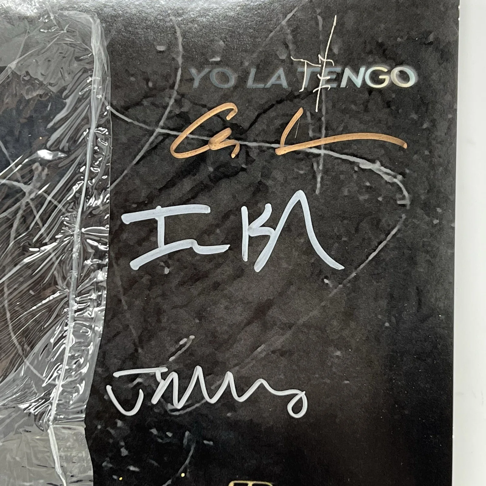 Yo La Tengo Signed Autographed Vinyl Record LP This Stupid World, image 2