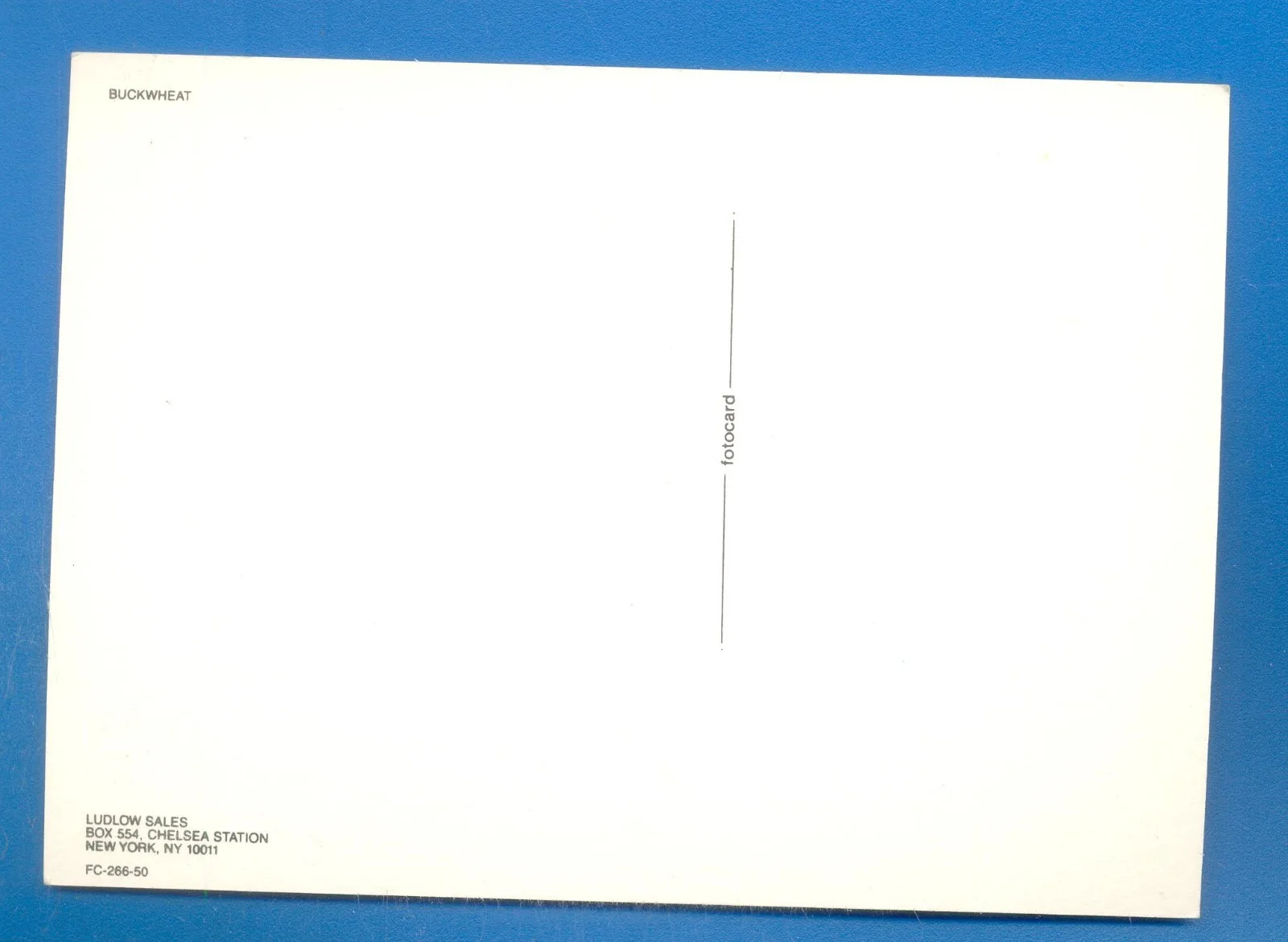 BUCKWHEAT.POSTCARD (B), image 2