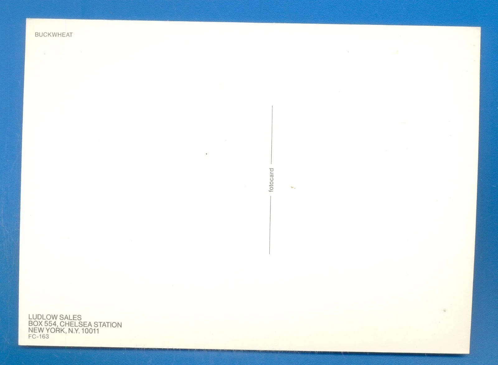 BUCKWHEAT.POSTCARD, image 2