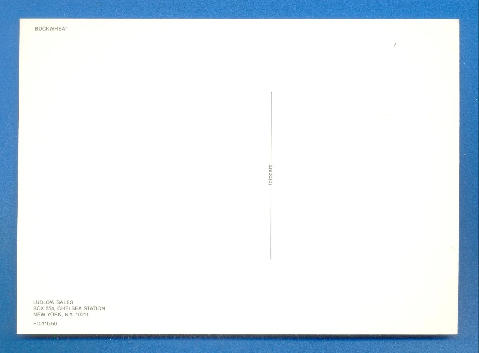 BUCKWHEAT.POSTCARD (C), изображение 2