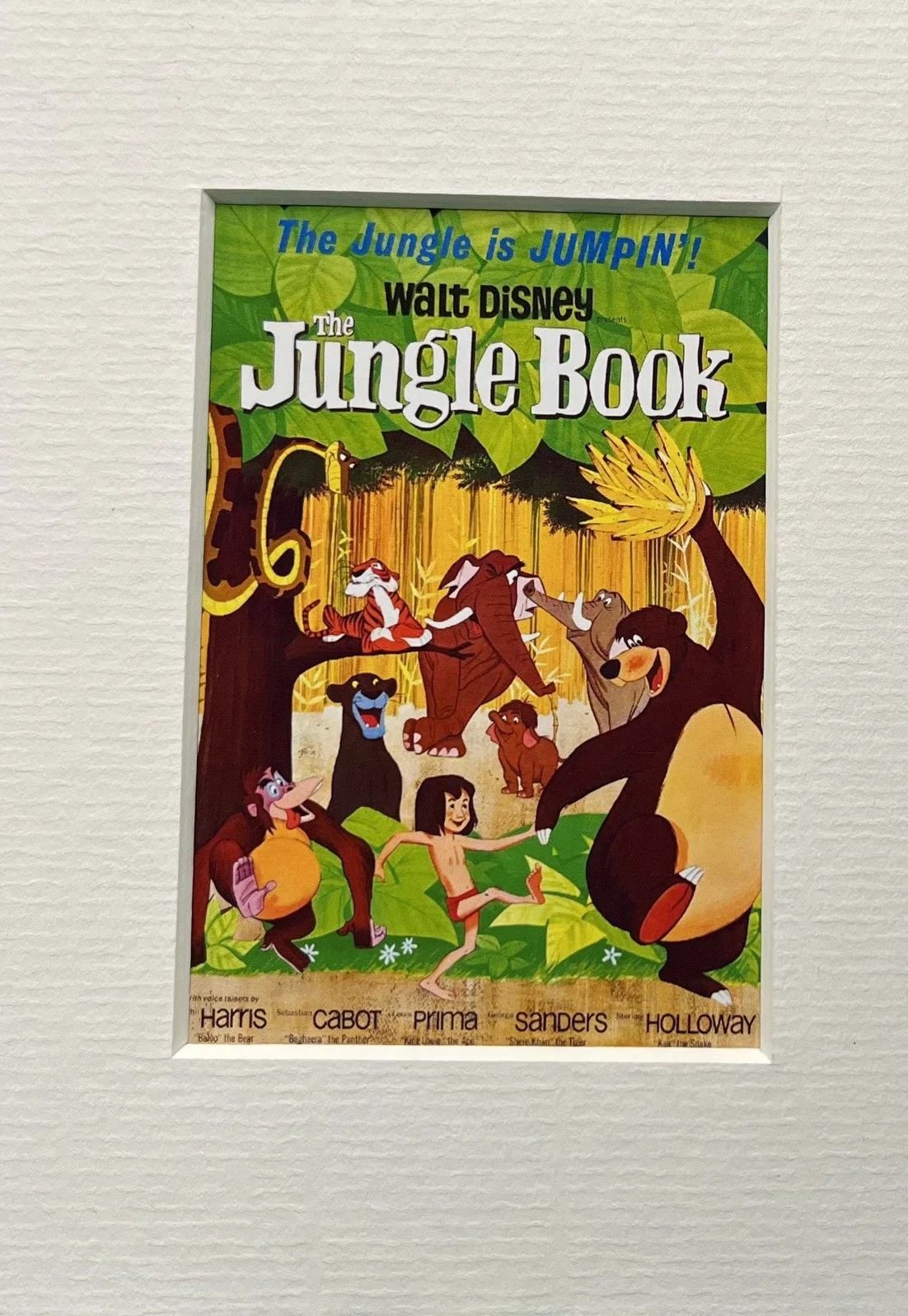 THE JUNGLE BOOK. . 35mm Film Cell Mounted Display, image 2