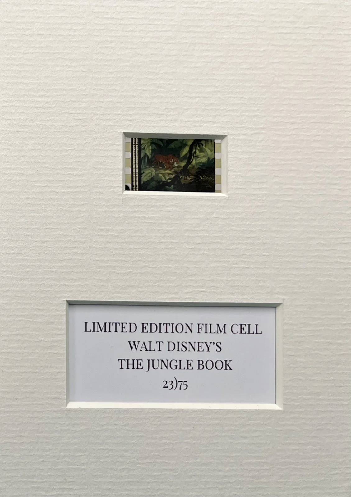 THE JUNGLE BOOK. . 35mm Film Cell Mounted Display, image 3