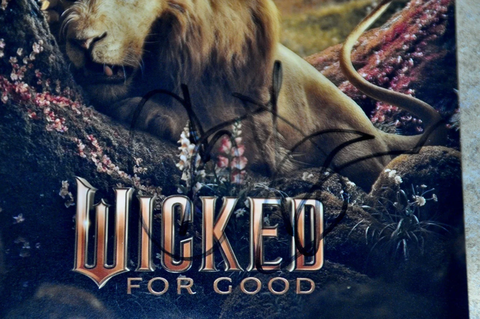 Colman Domingo Signed Wicked For Good 8” x 6” Photo Cowardly Lion W/COA & Proof, изображение 2