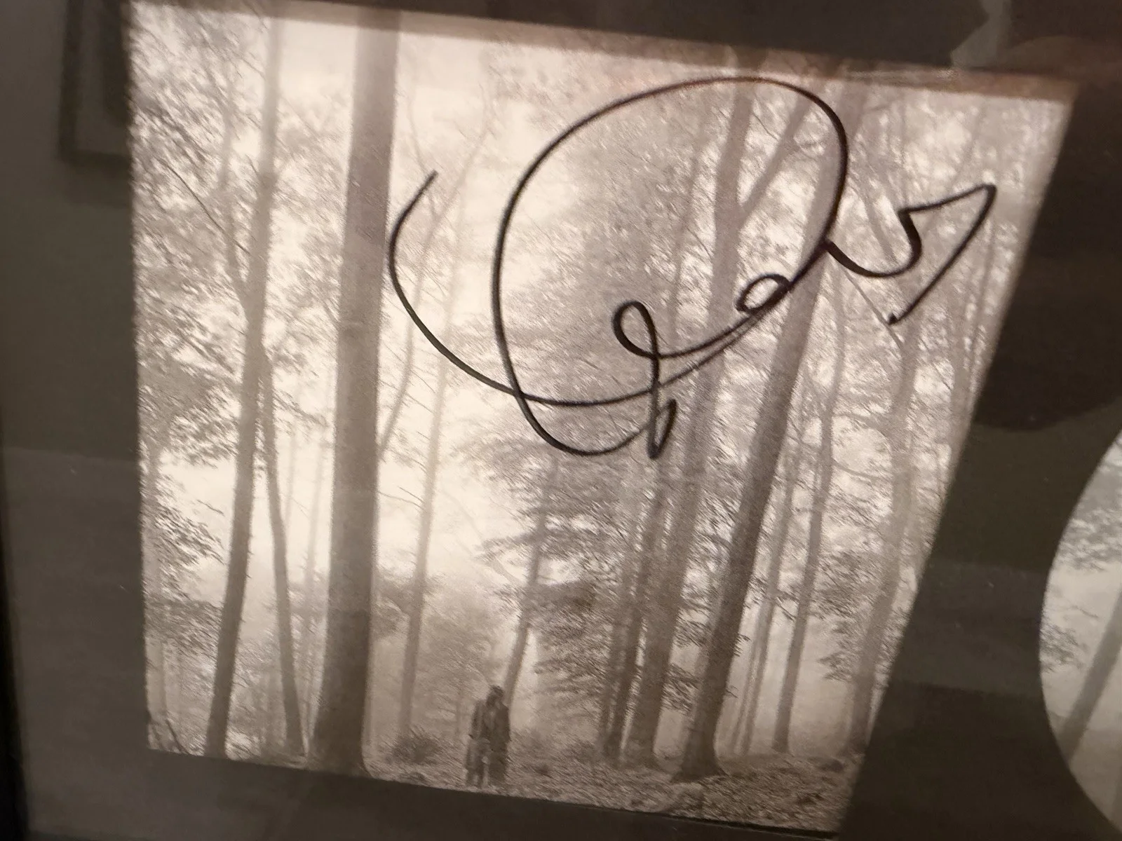 Taylor Swift Signed Folklore CD Autographed Framed, image 3