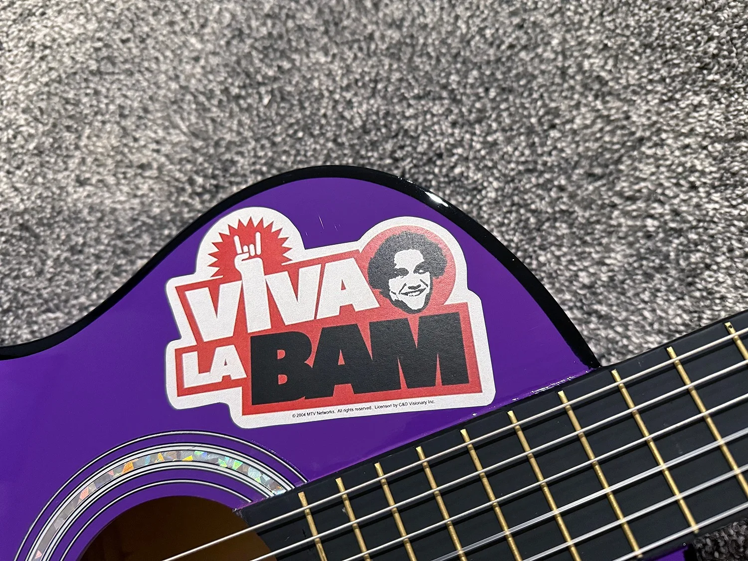 BAM MARGERA Viva La Jackass MTV Star Autograph SIGNED Acoustic Guitar PSA COA, изображение 4