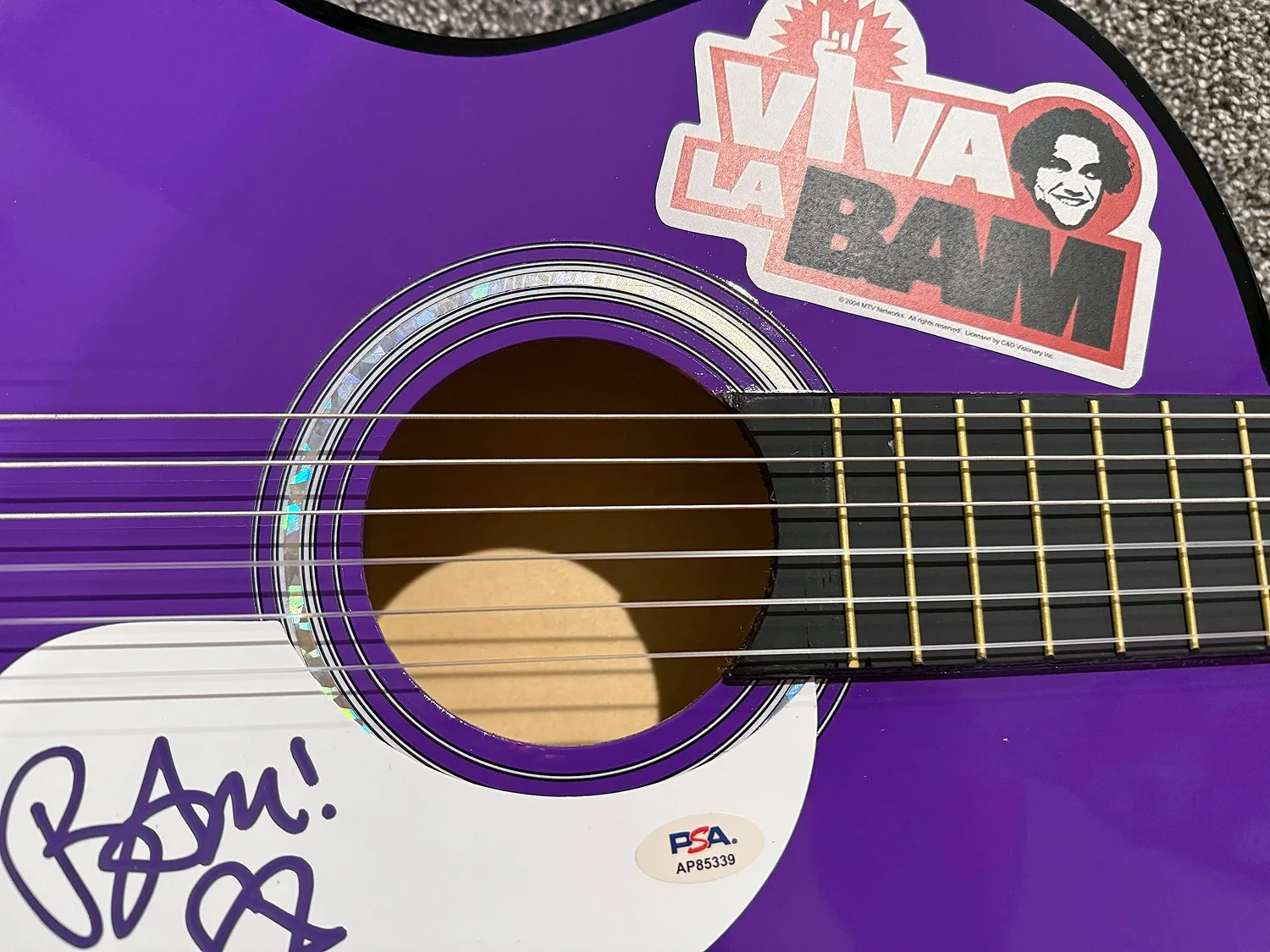 BAM MARGERA Viva La Jackass MTV Star Autograph SIGNED Acoustic Guitar PSA COA, изображение 5