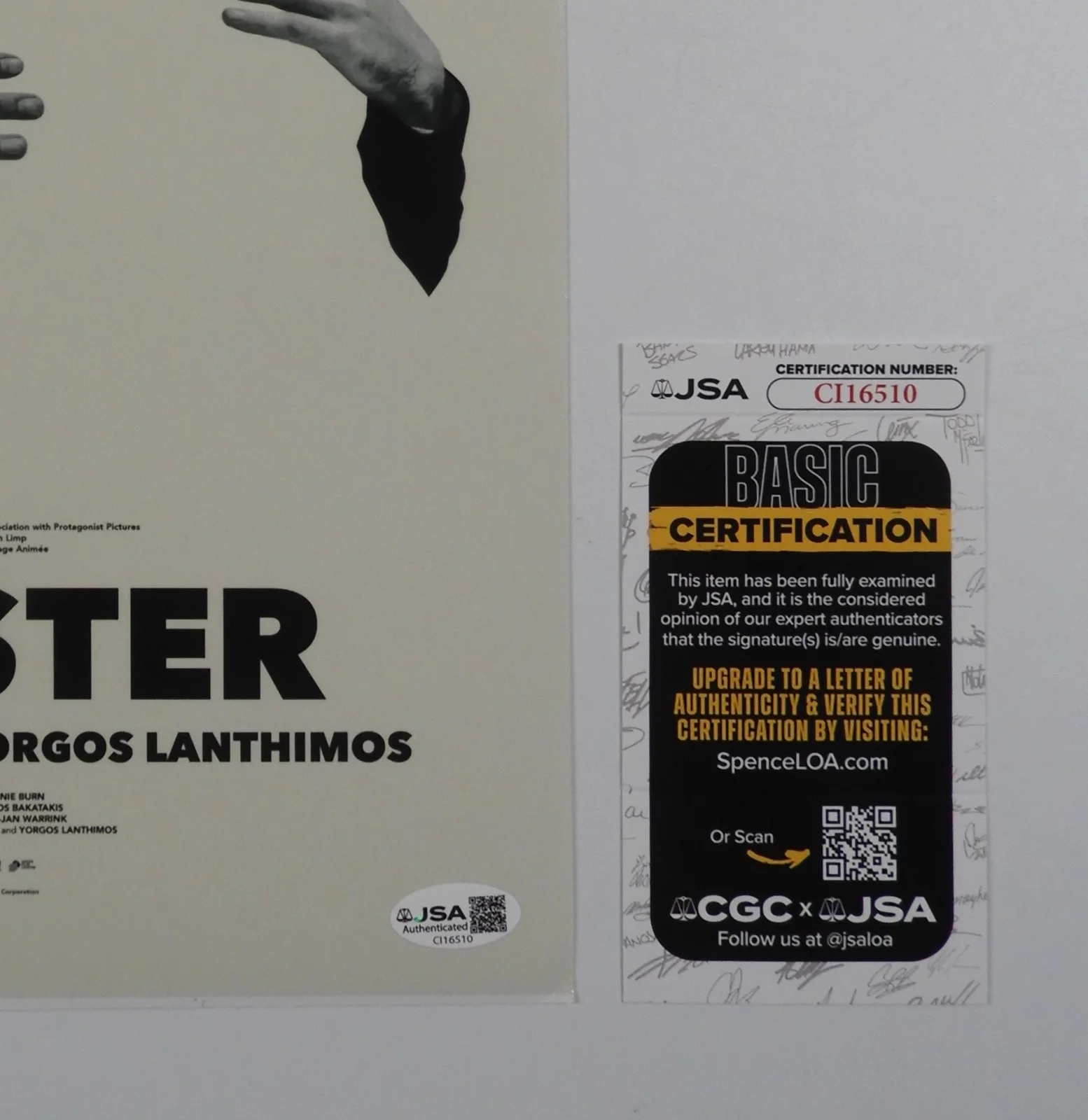 Yorgos Lanthimos JSA signed autograph 12 x 18 Photo The Lobster, изображение 3