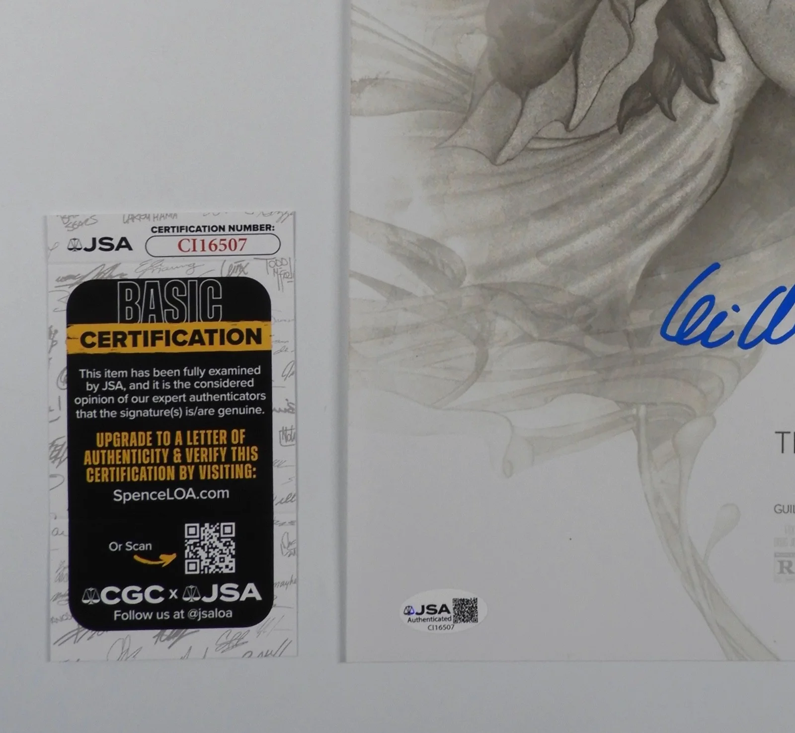 Guillermo Del Toro Autograph Beckett 11 x 17 Signed Photo The Shape Of Water, изображение 3