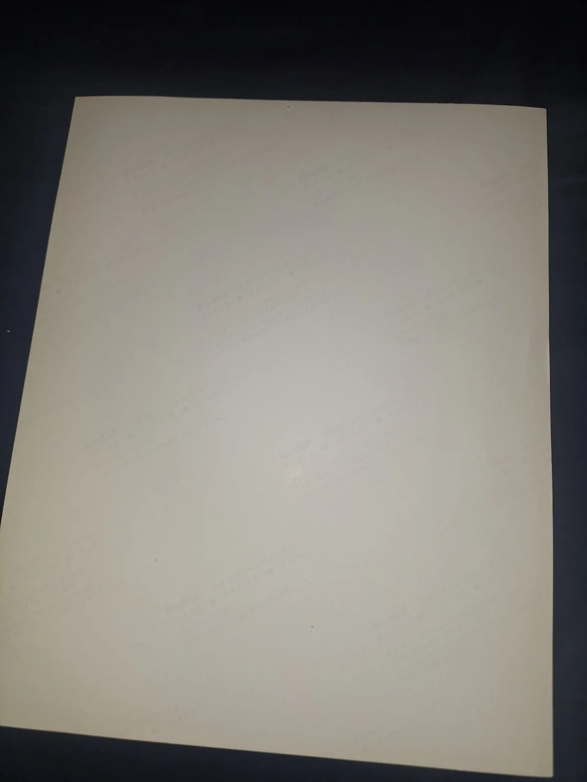 Ann Marie Goddard Signed Kodak, image 2