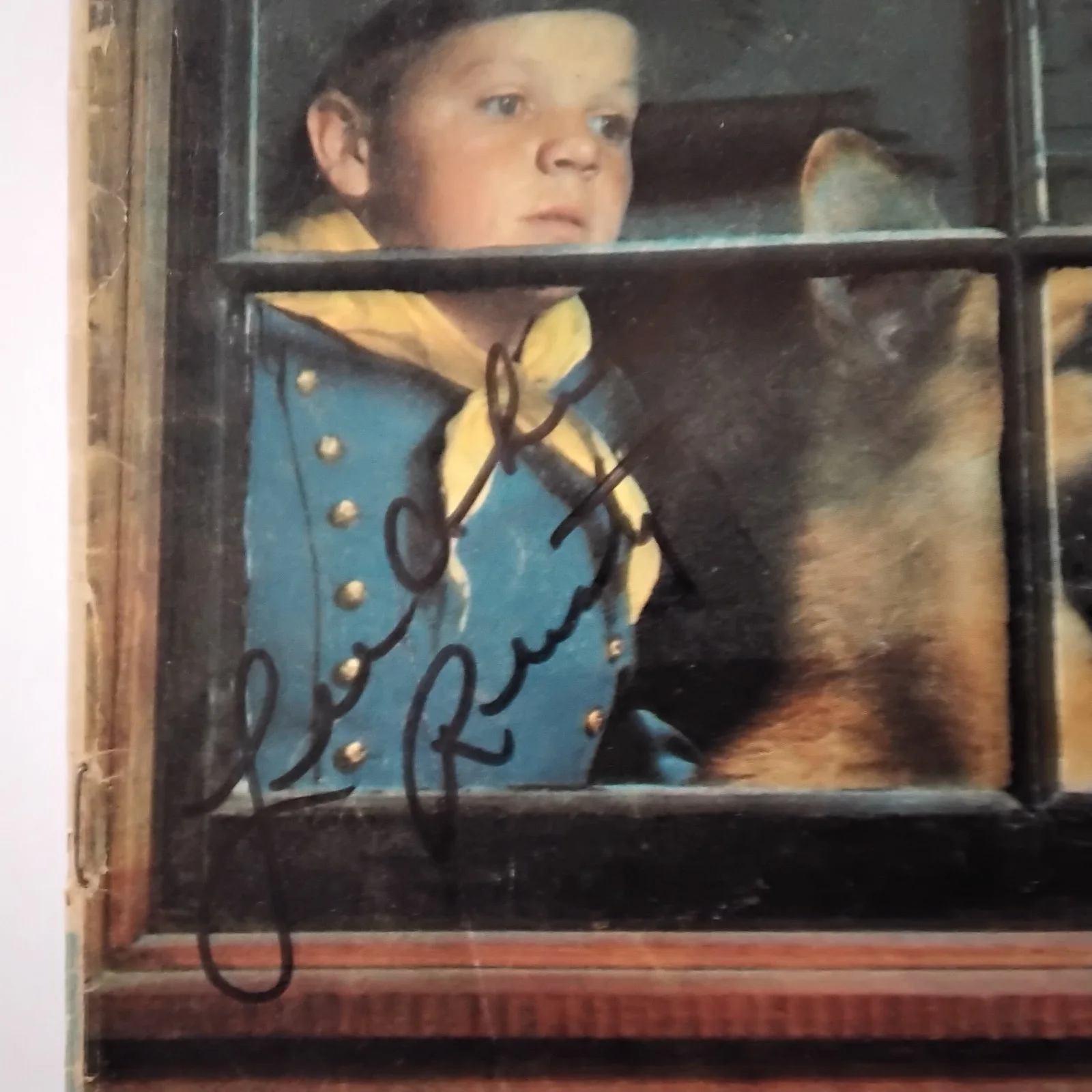 Lee Aaker SIGNED 1959 Comic Book Movie Child Actor Rin Tin Tin Disney High Noon, image 3